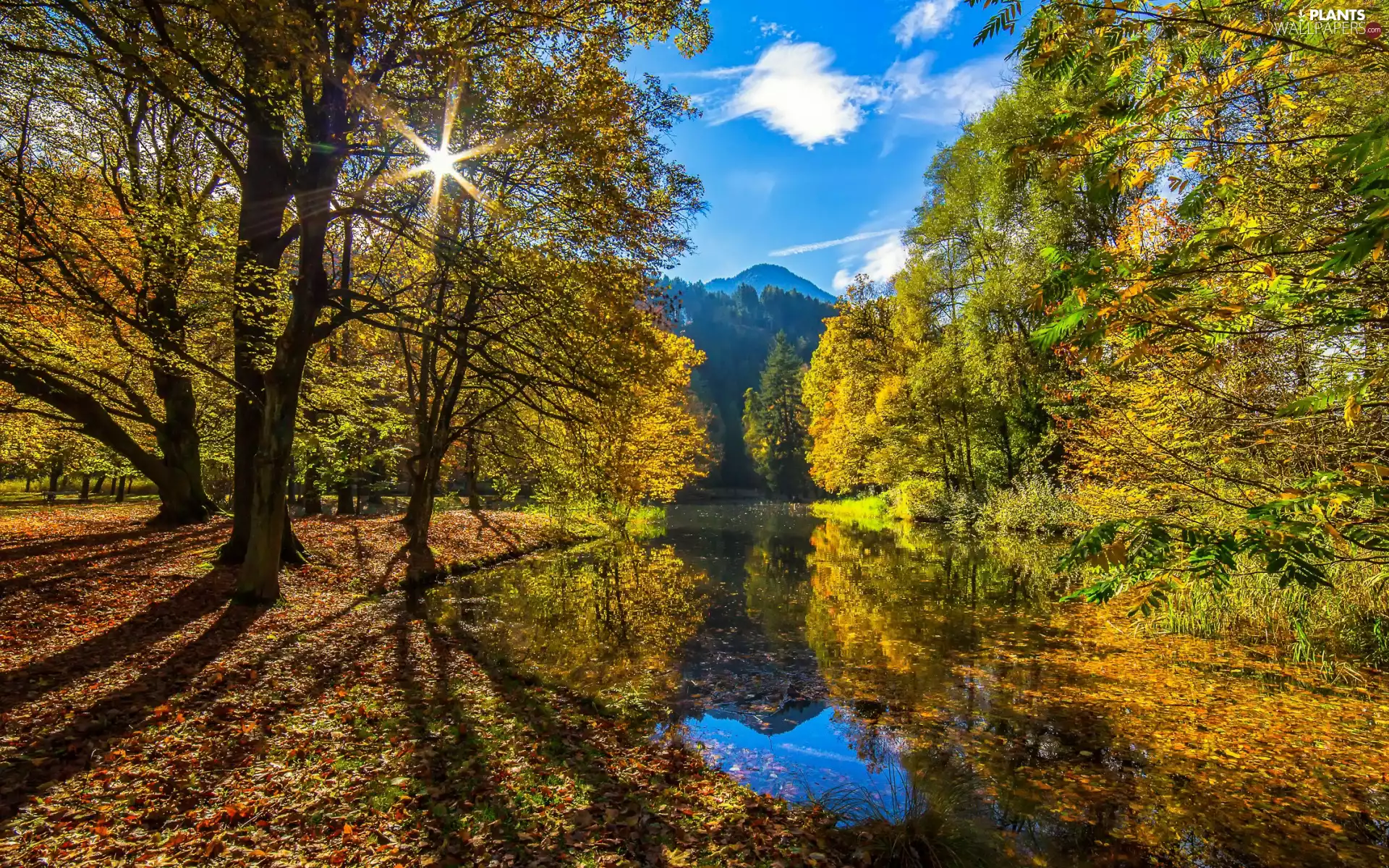 viewes, forest, rays of the Sun, trees, autumn, Mountains, Pond - car