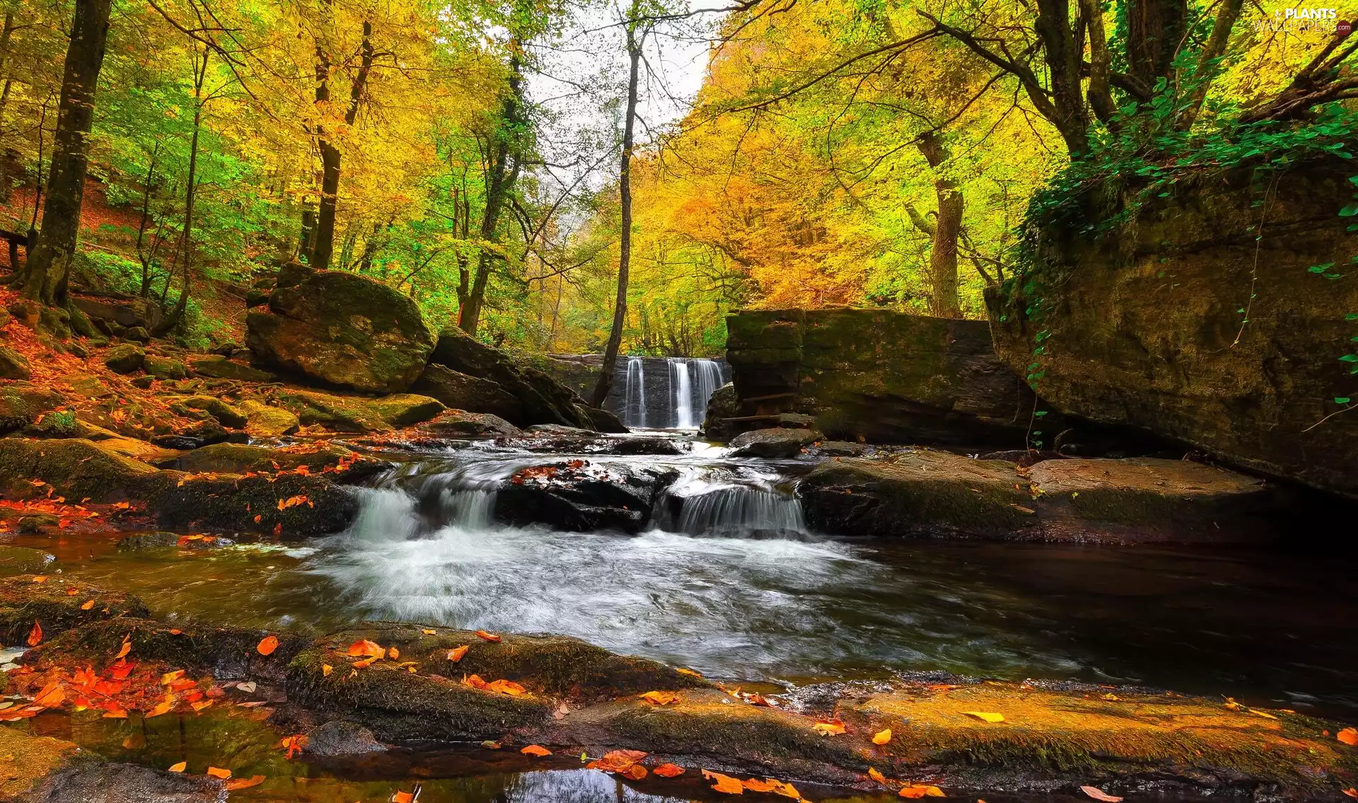 waterfall, rocks, autumn, Moss, viewes, stream, forest, trees