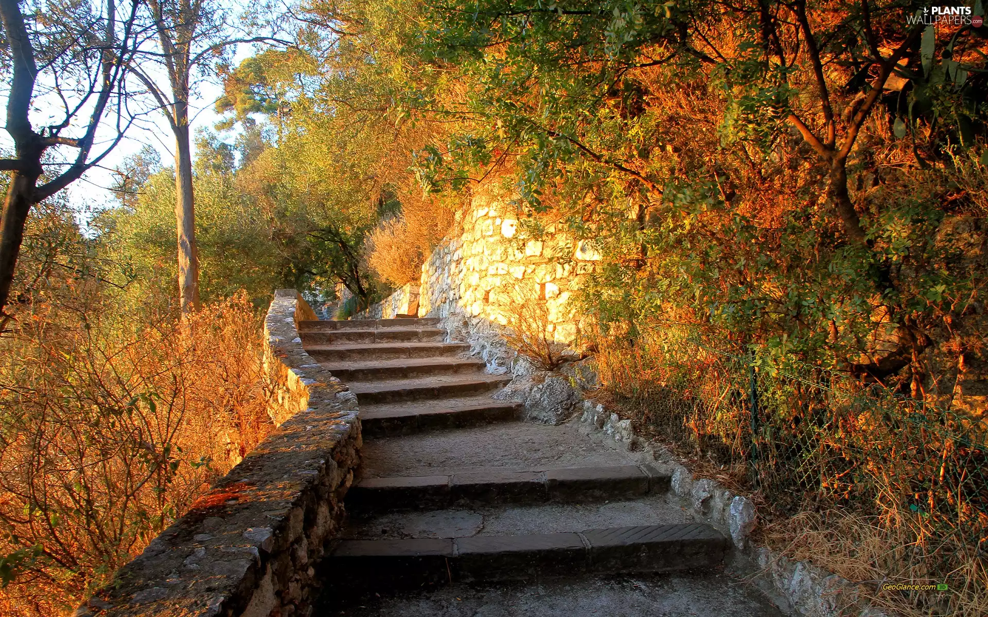 autumn, viewes, Stairs, trees