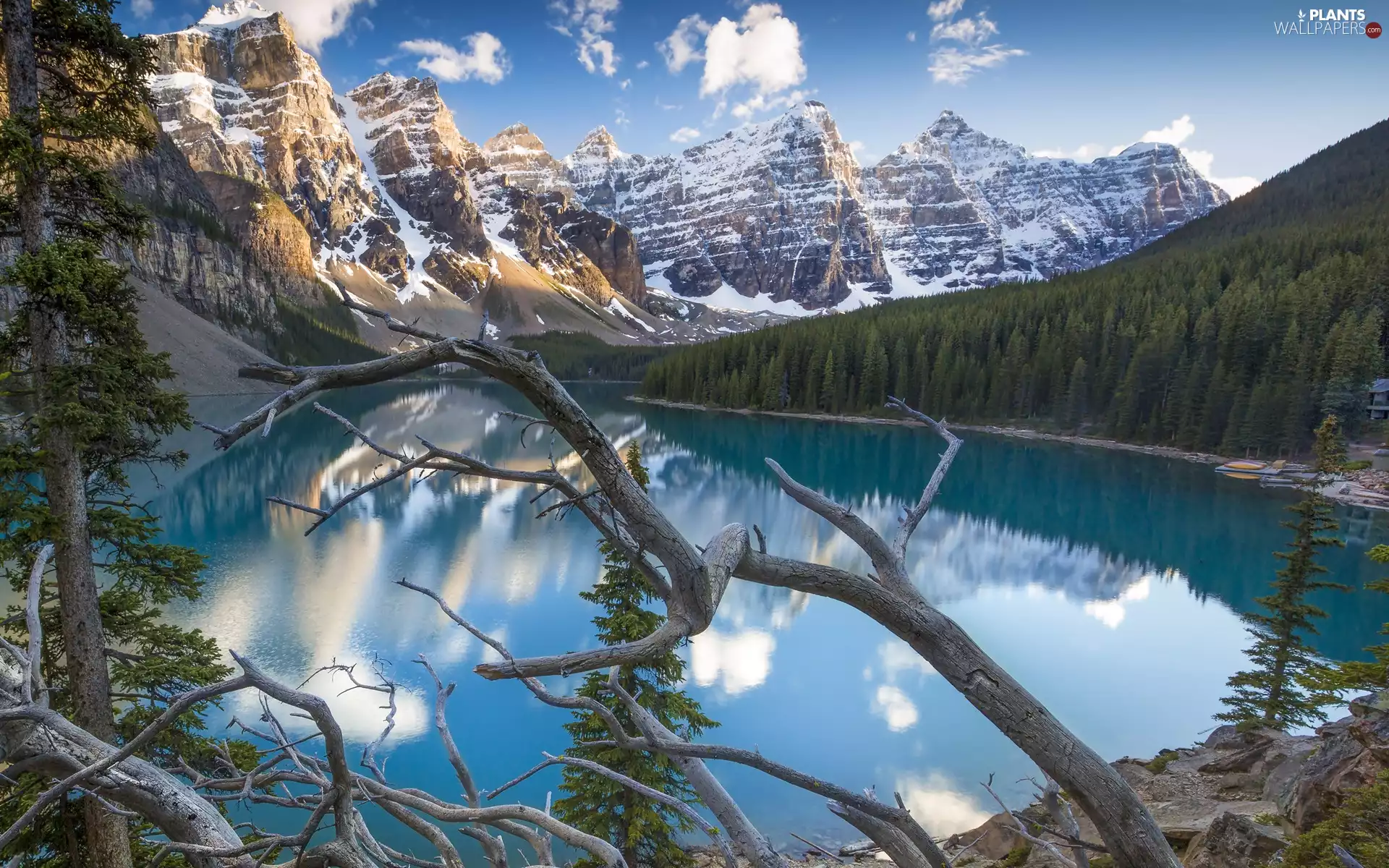 dry, viewes, branches, Lake Moraine, Mountains, clouds, trees, Canada, reflection, forest, Banff National Park, Alberta