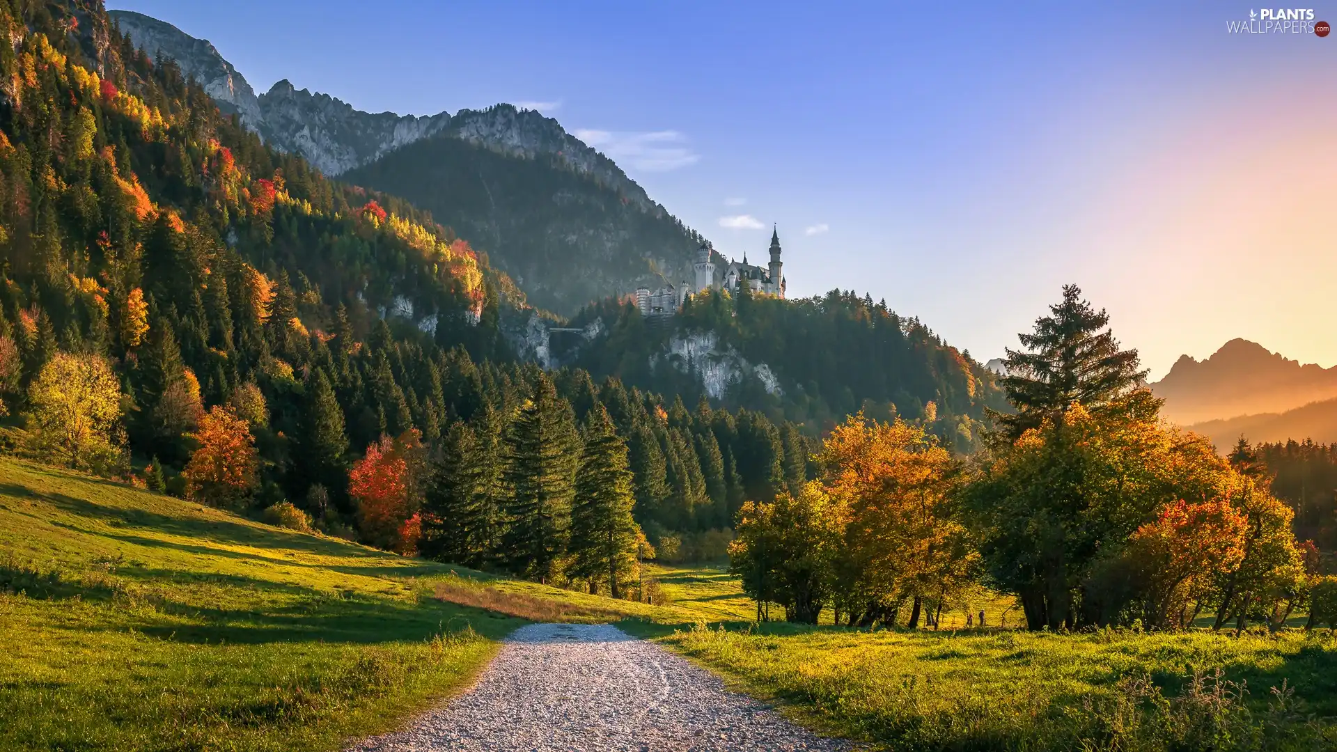 autumn, Germany, viewes, trees, rocks, Sunrise, Way, Neuschwanstein Castle, Bavaria, The Hills, Mountains