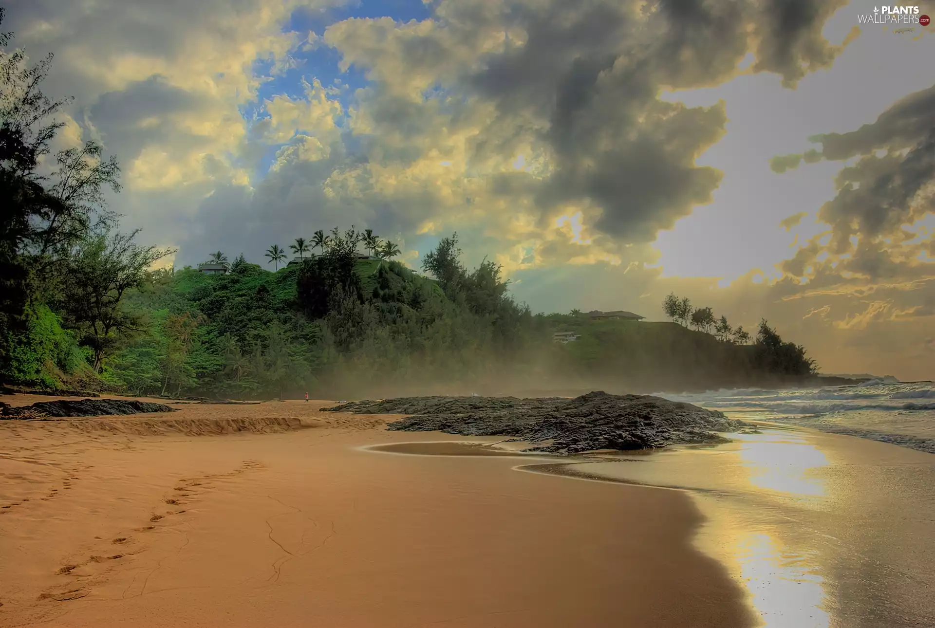 Beaches, viewes, clouds, trees