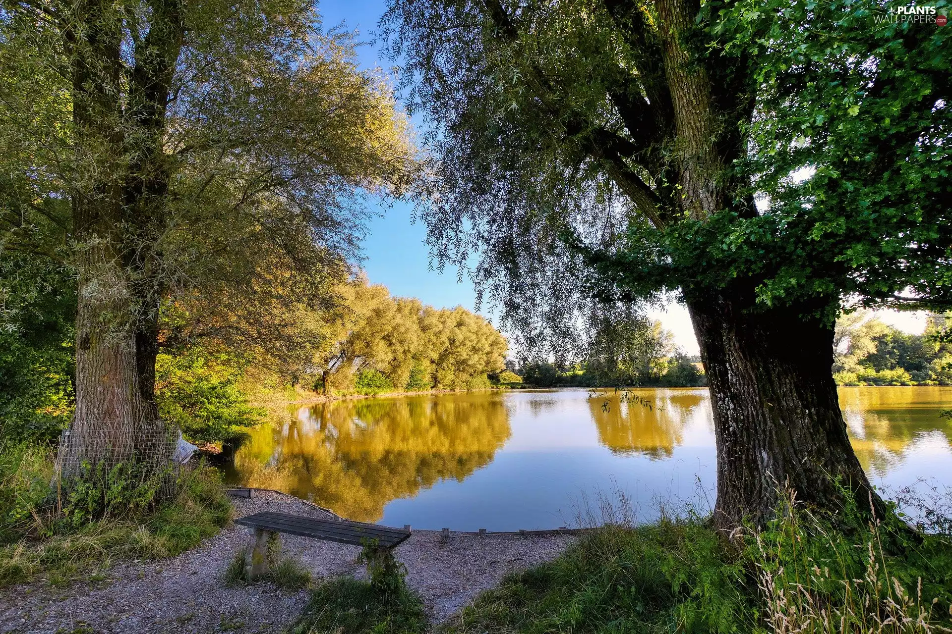 Pond - car, autumn, trees, viewes, Bench