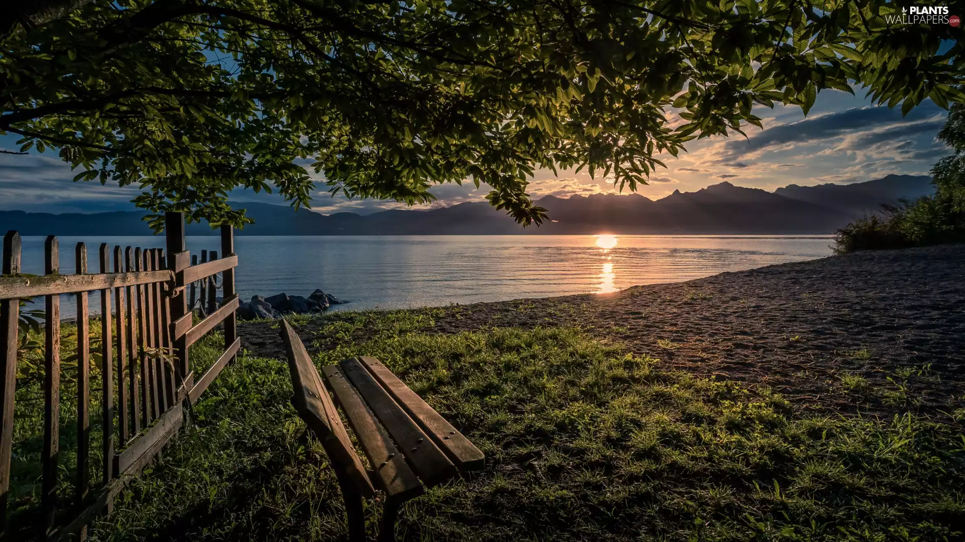 viewes, morning, Bench, trees, lake, Fance, Mountains