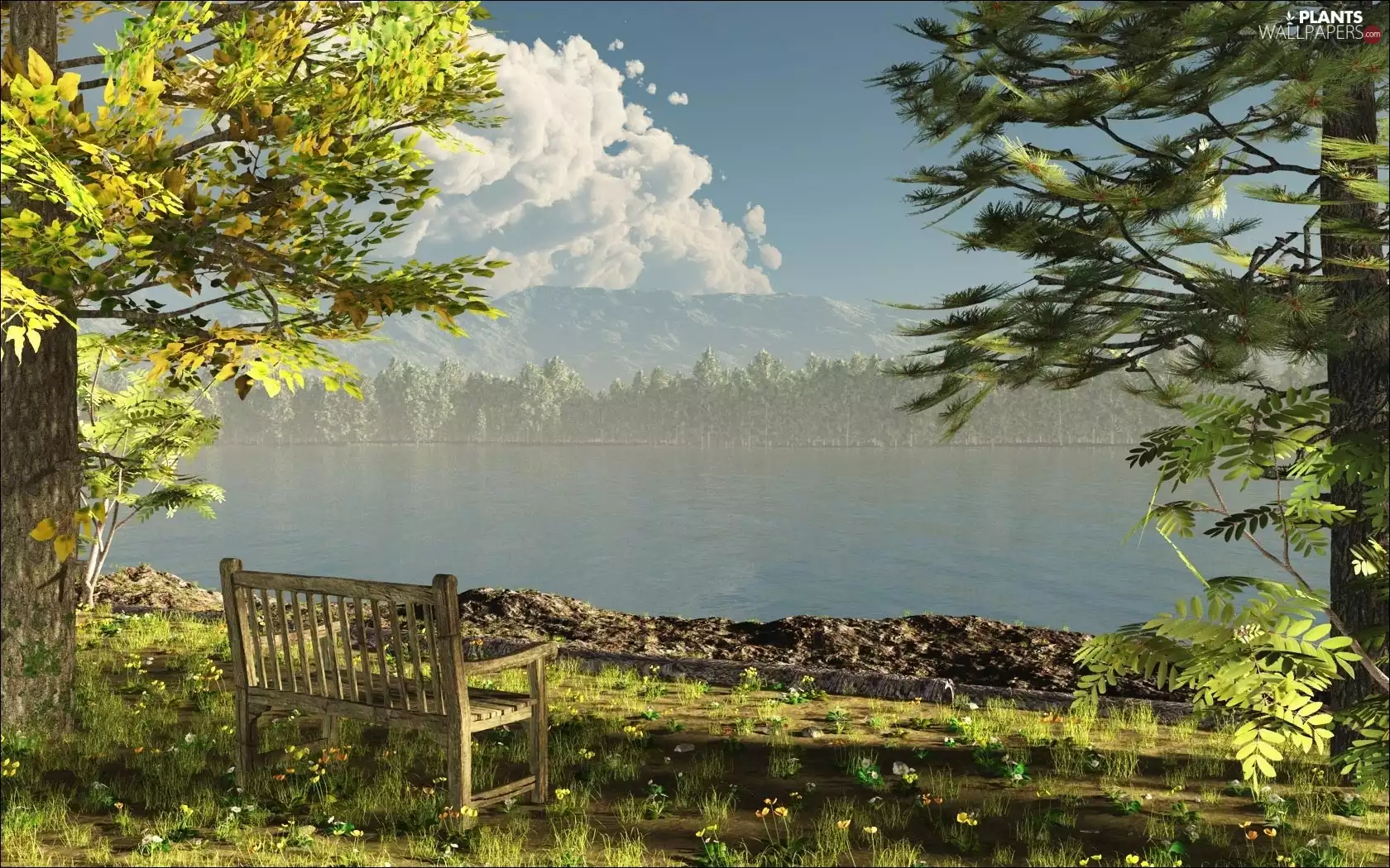 Bench, viewes, River, trees