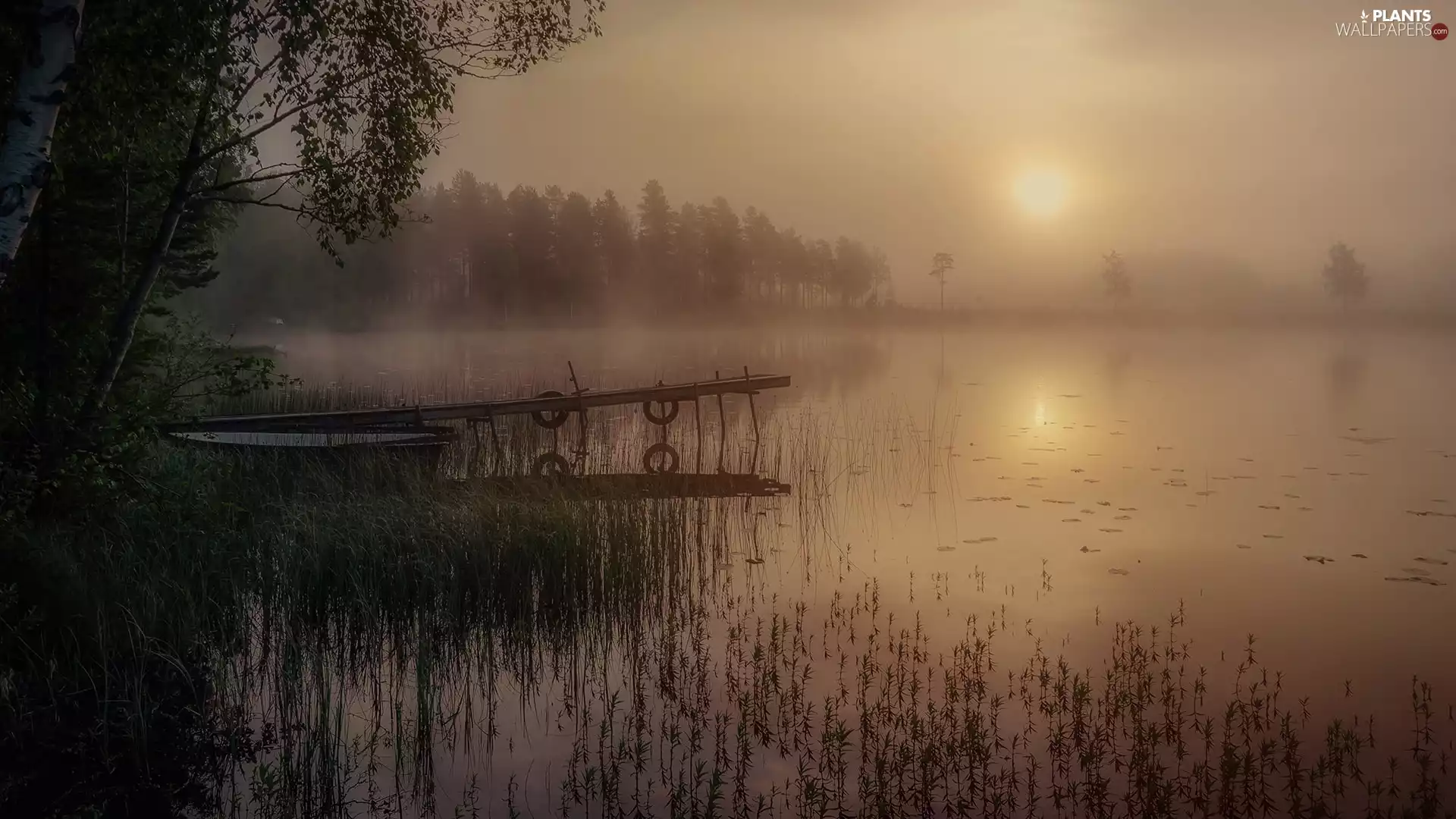 viewes, lake, Boat, trees, Fog, Platform, sun