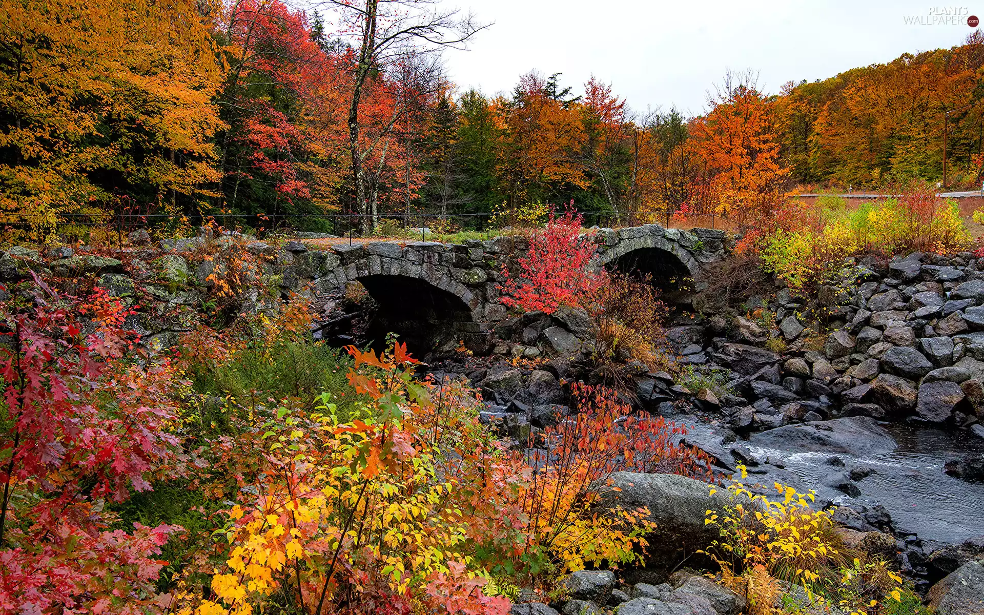 viewes, color, bridge, trees, autumn, stone, River