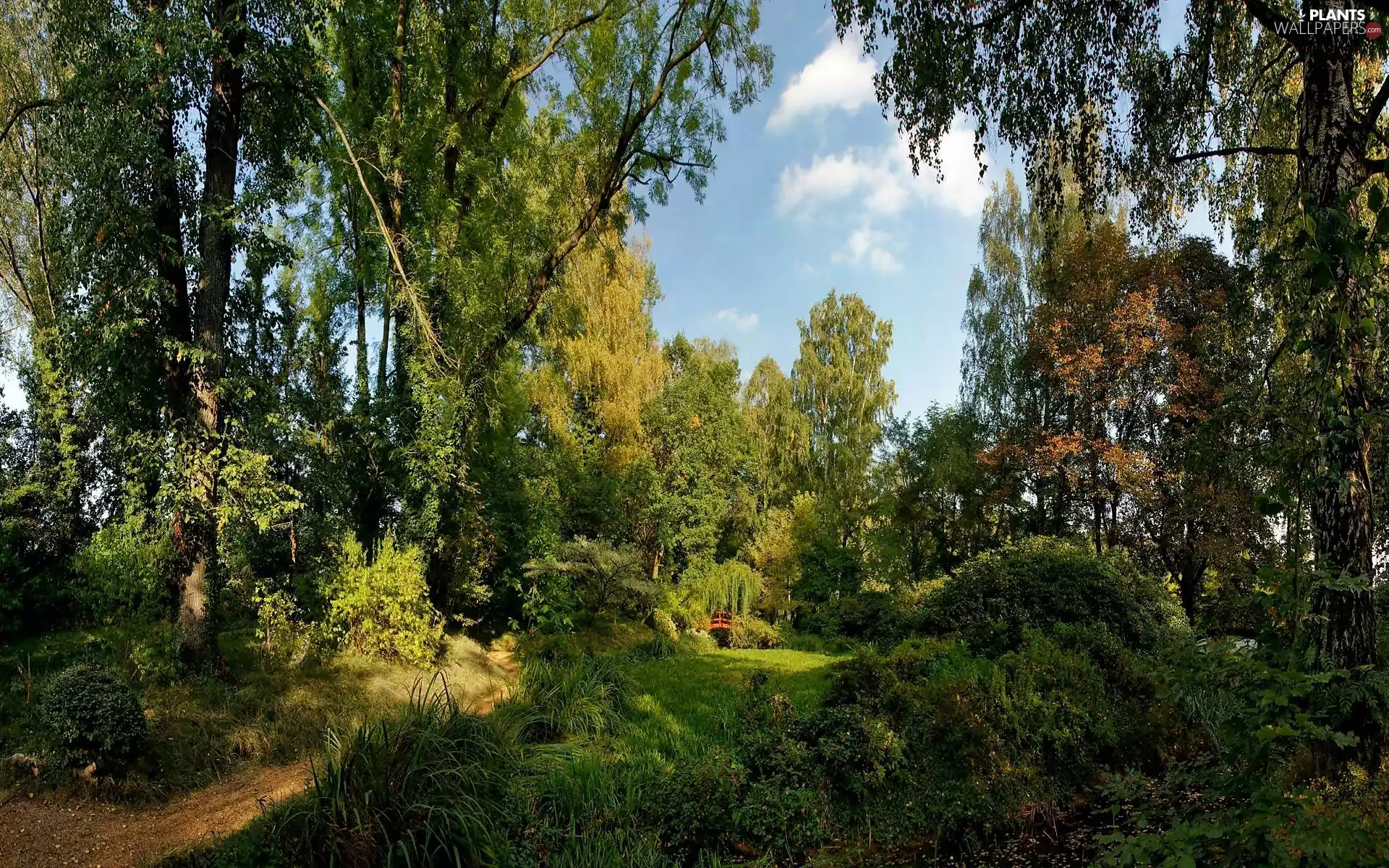 clouds, Park, sun, ligh, luminosity, viewes, trees, bridges, Red, shadow, flash