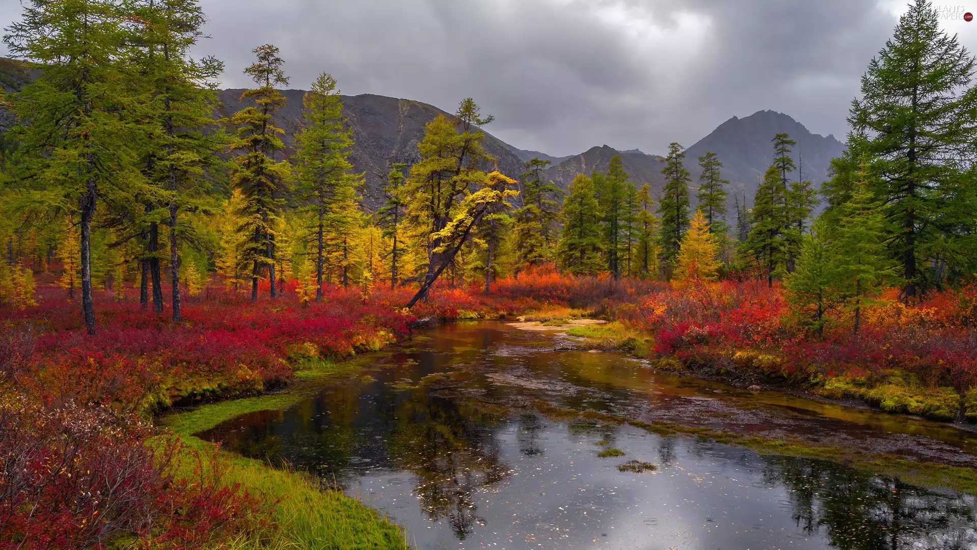 brook, viewes, Mountains, trees