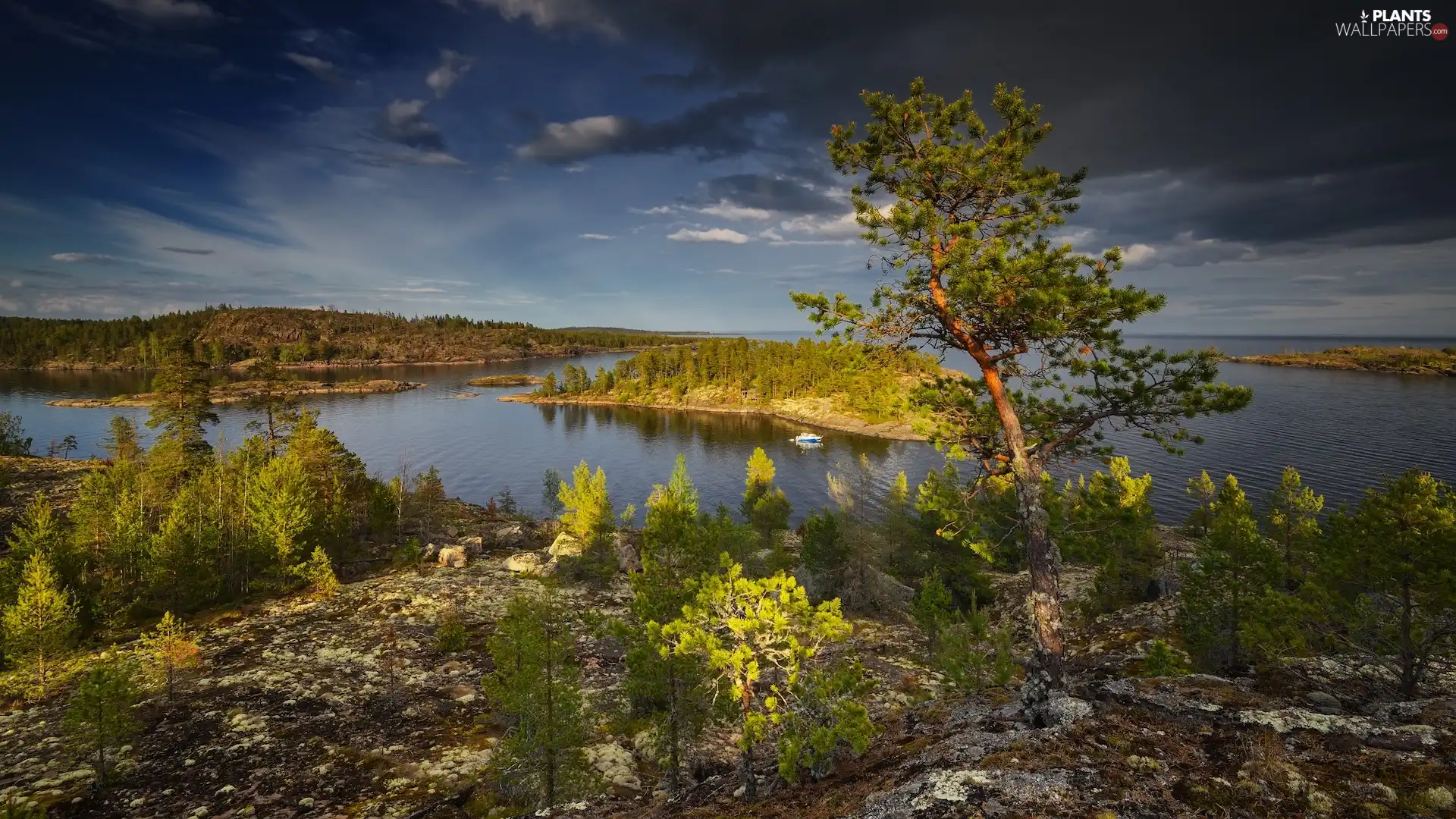 lake, Ladoga, Bush, rocks, viewes, Karelia, Russia, trees