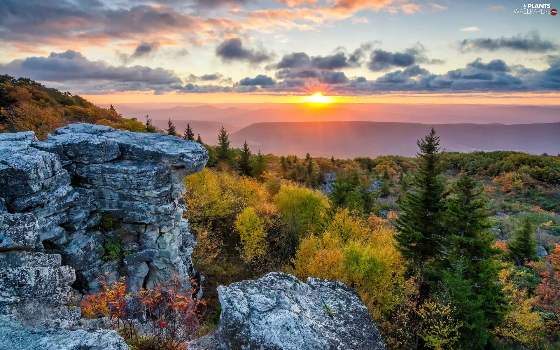 clouds, Mountains, Bush, rocks, viewes, Sunrise, autumn, trees