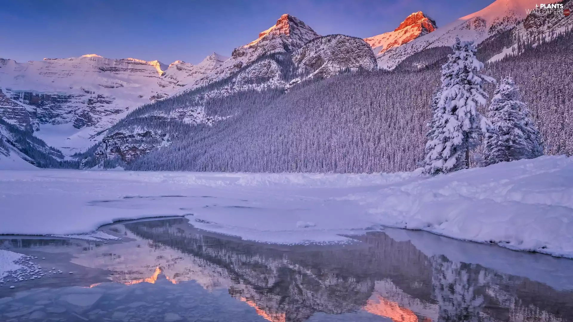 reflection, Lake Louise, Banff National Park, viewes, trees, Alberta, lake, winter, Canada, frozen, Snowy, Mountains