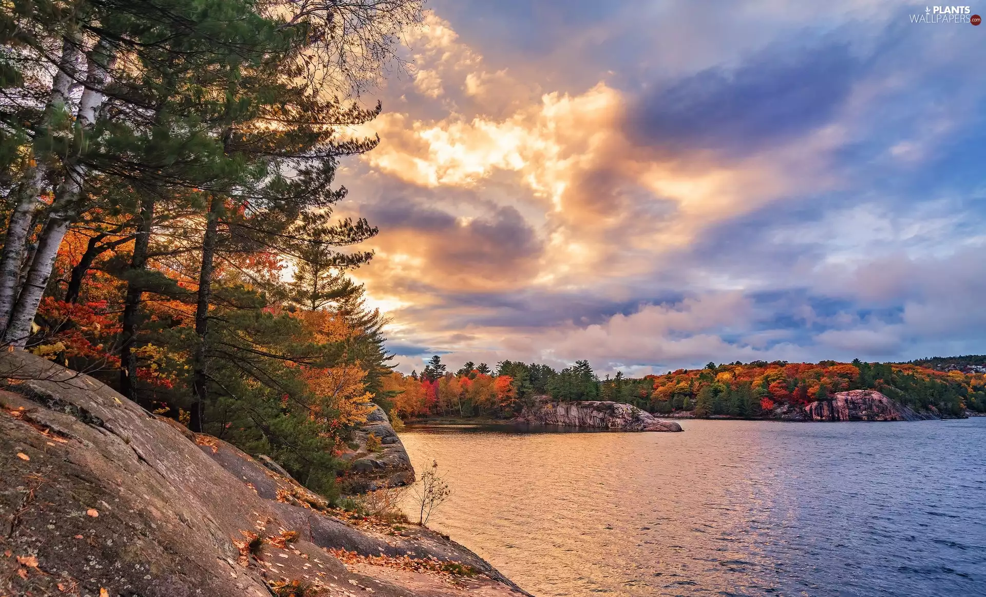 Ontario Province, Canada, Killarney Provincial Park, lake, clouds, Sunrise, trees, viewes, autumn