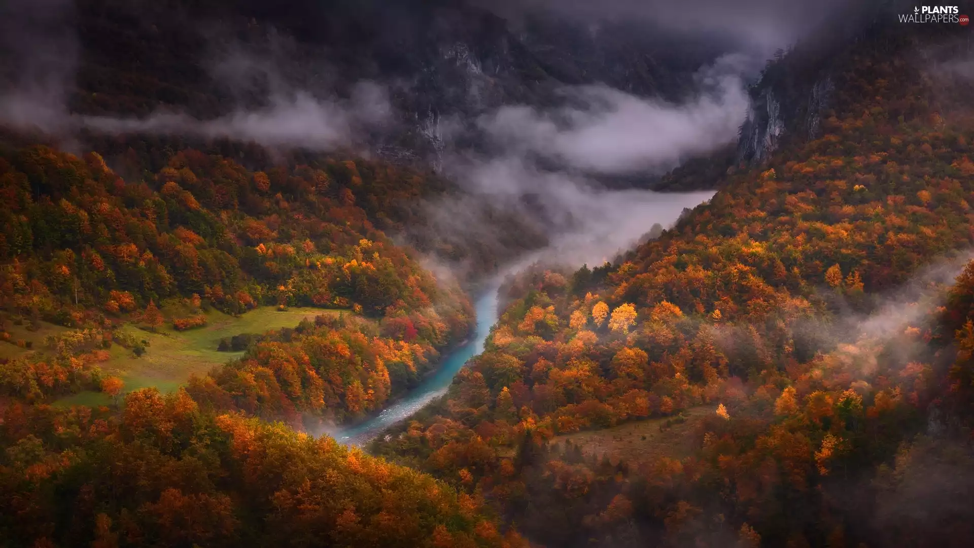 Tara River Canyon, Montenegro, Tara River, canyon, Mountains, Fog, trees, viewes, autumn