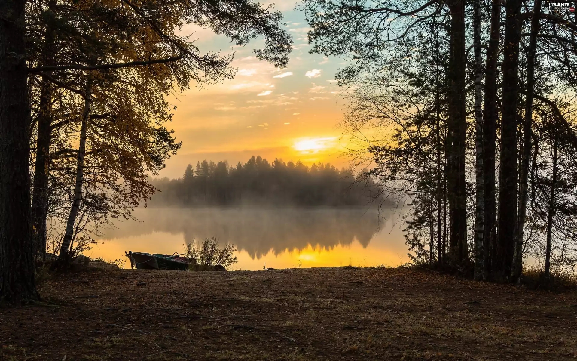 viewes, Pond - car, Great Sunsets, autumn, Boat, trees