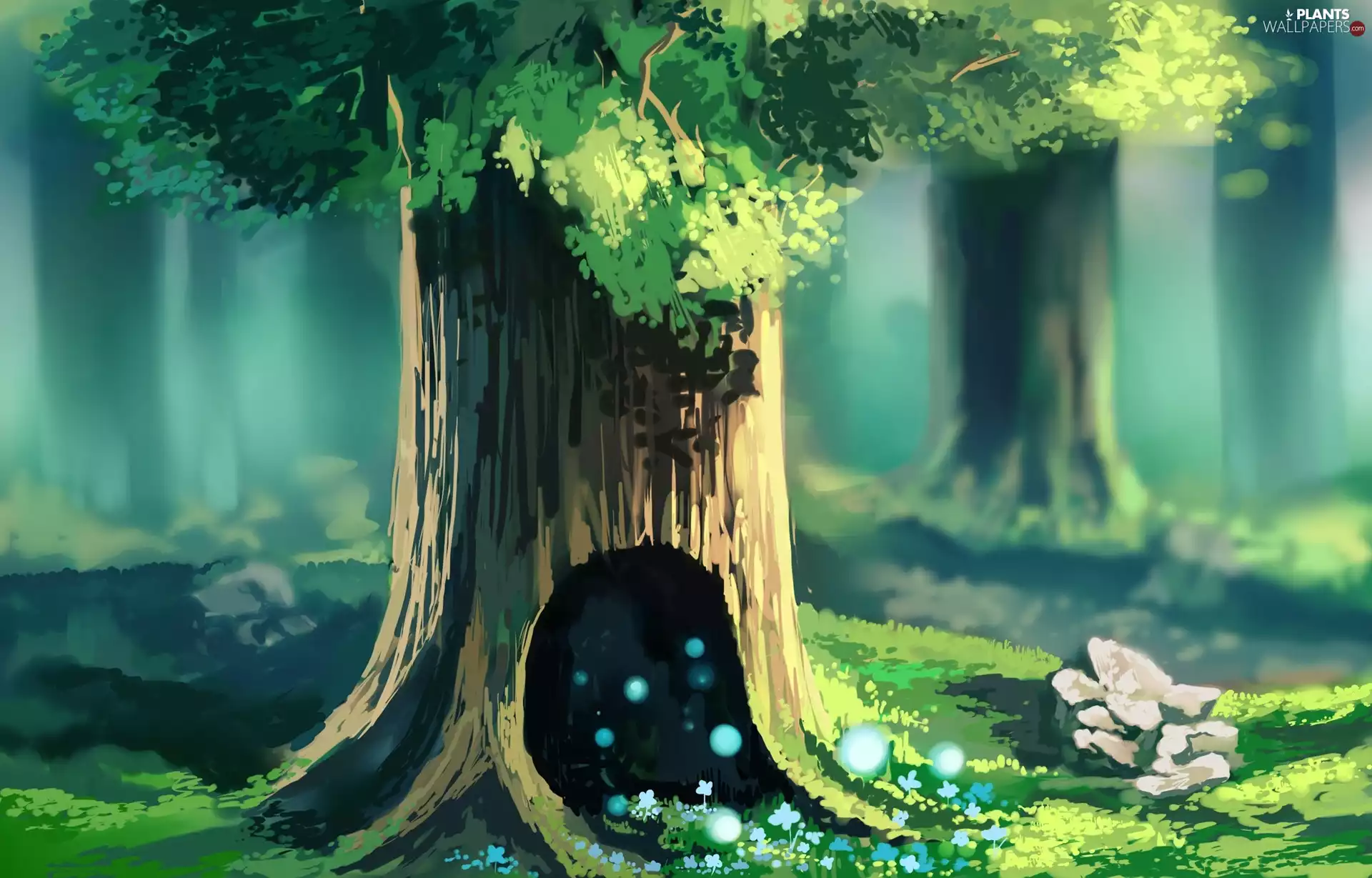 Chibionpu, viewes, forest, trees
