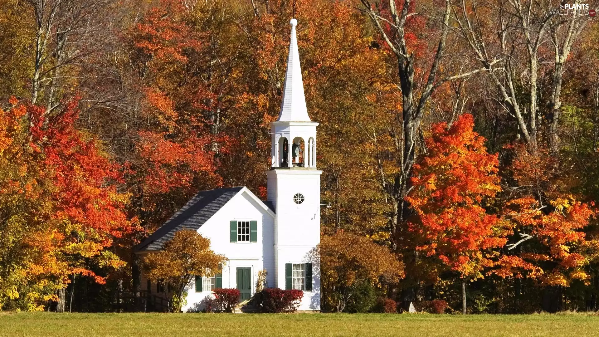 church, viewes, autumn, trees