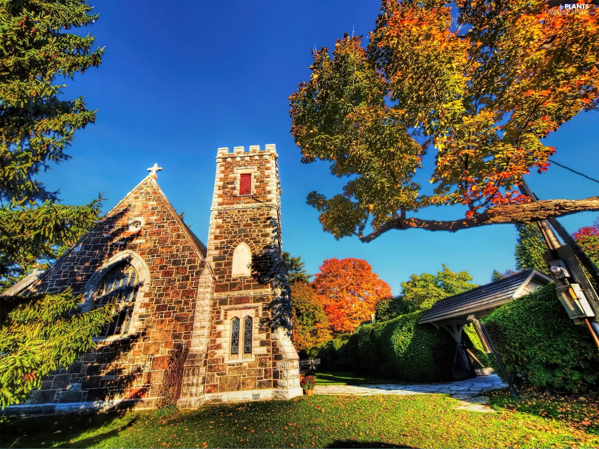 church, viewes, autumn, trees