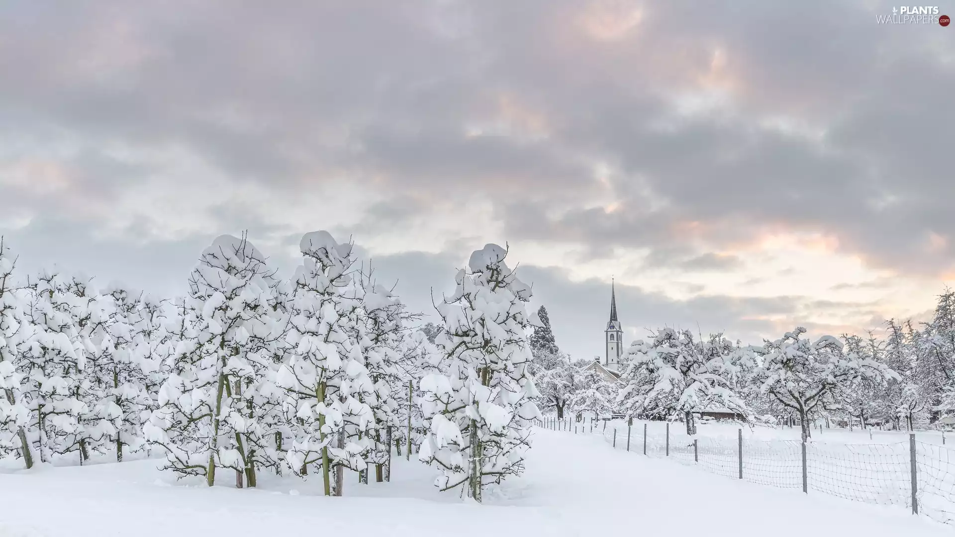 viewes, Snowy, Church, trees, winter, tower, fence