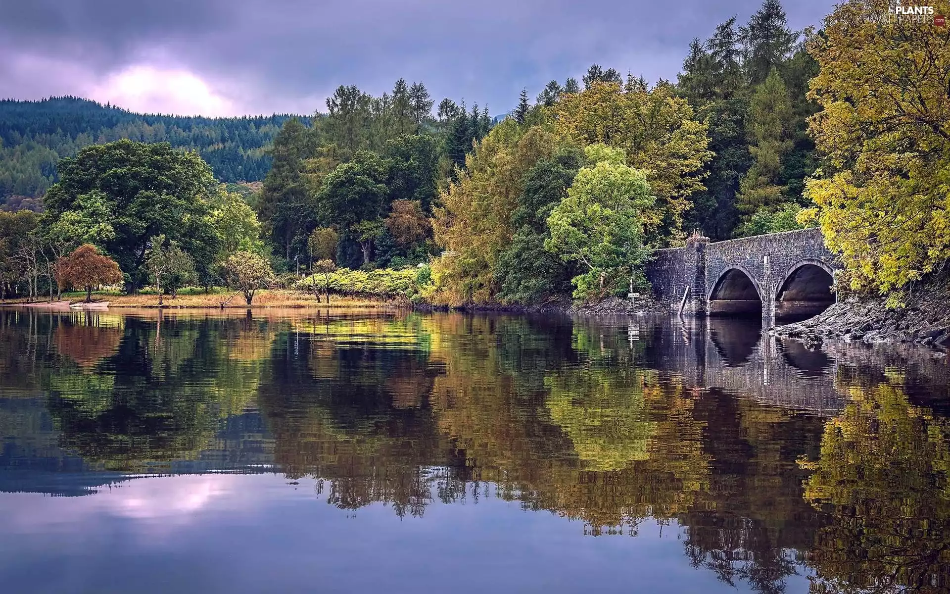 viewes, bridge, clouds, trees, lake, woods, autumn