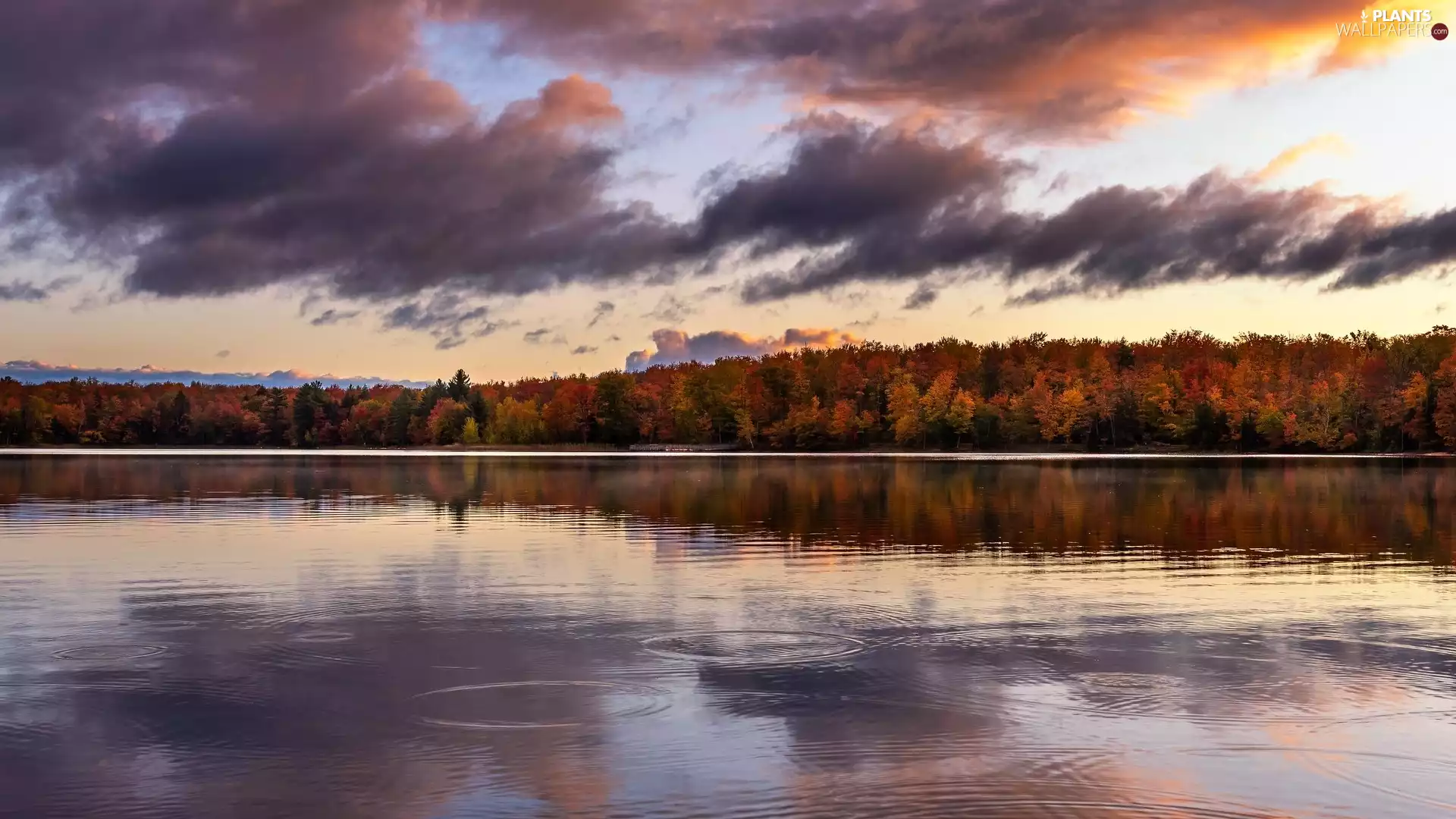 viewes, color, clouds, trees, autumn, lake, reflection