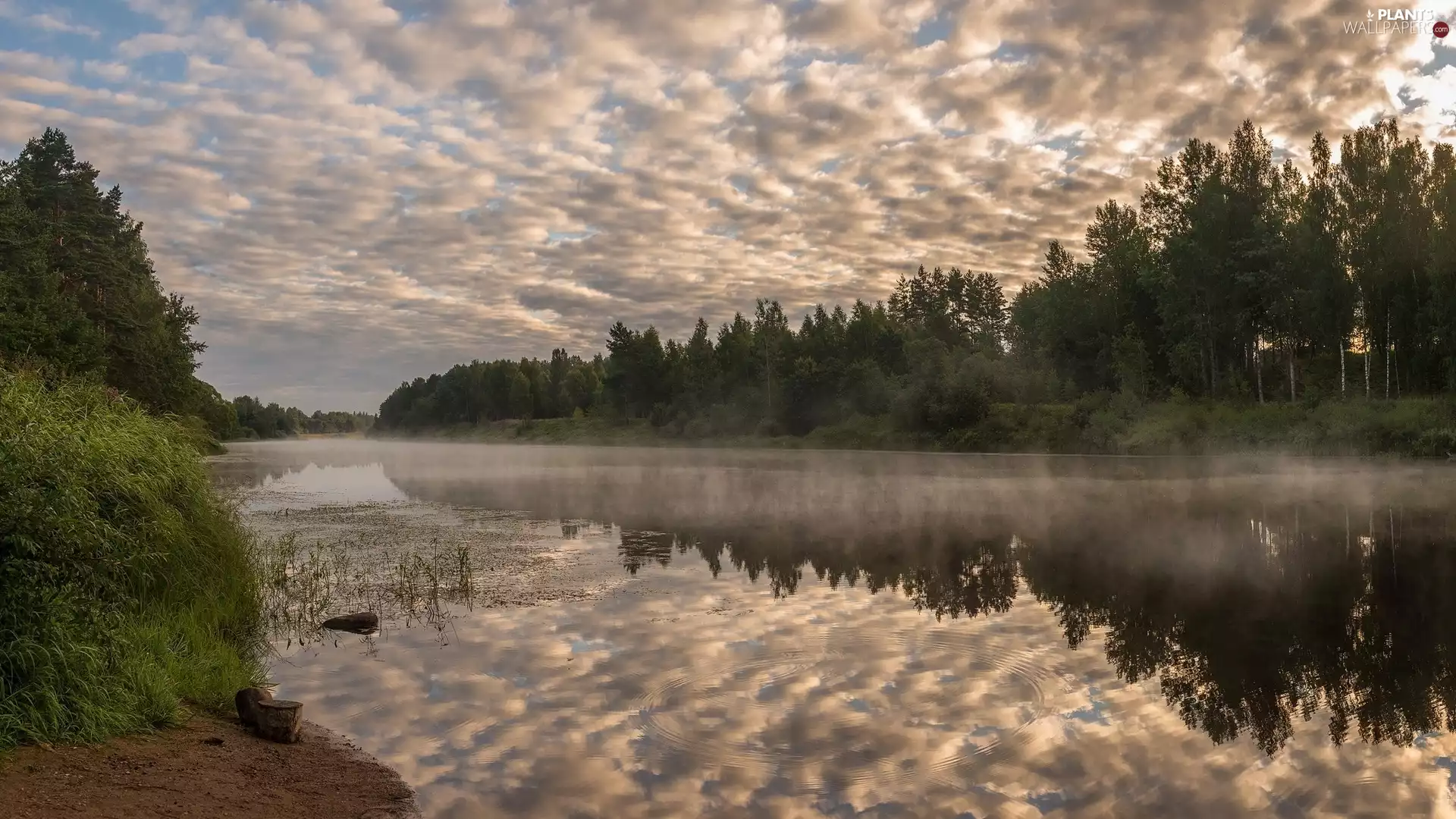 viewes, Fog, clouds, trees, River, Sky, reflection