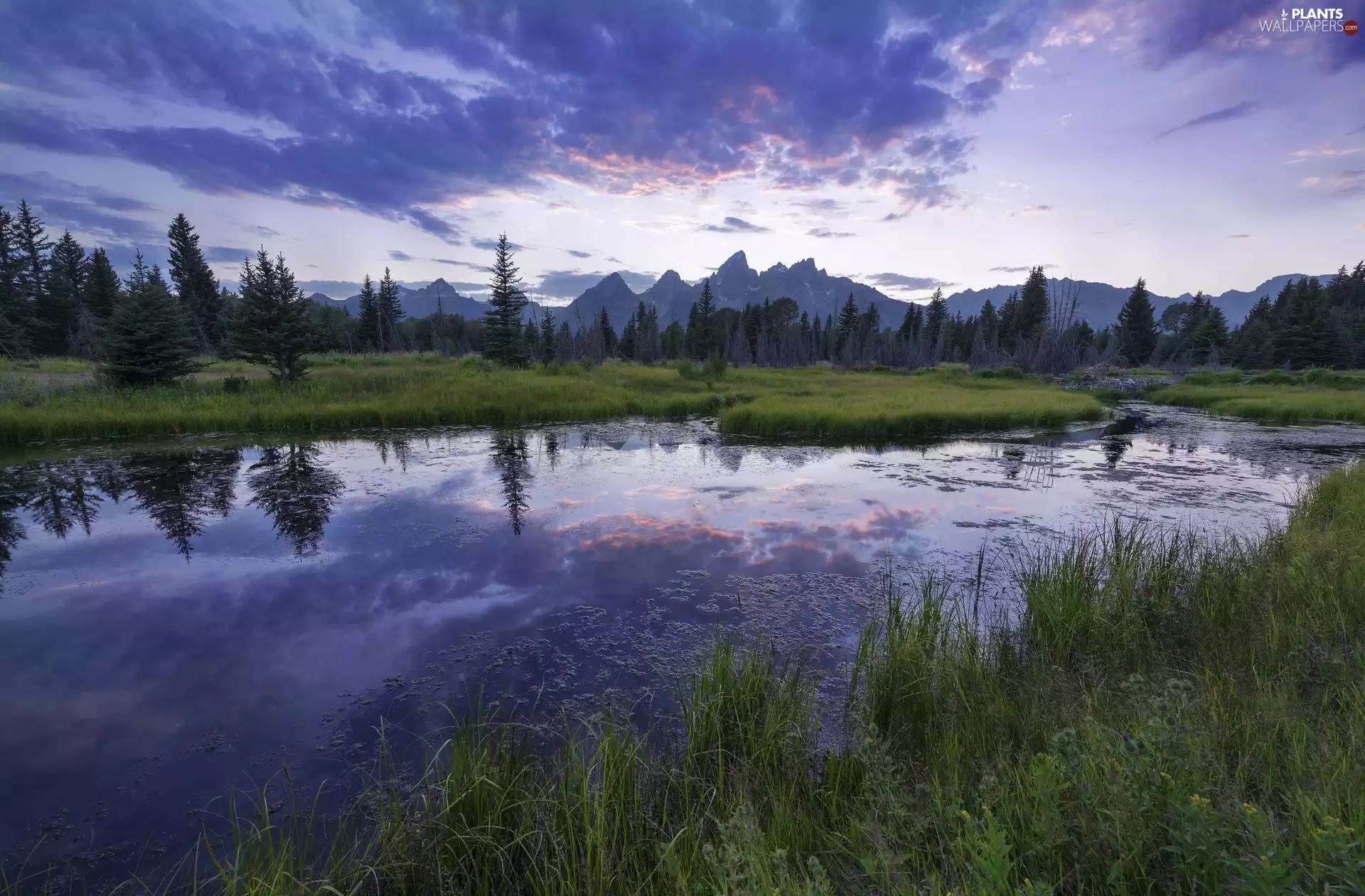 viewes, grass, clouds, trees, lake, Mountains, reflection