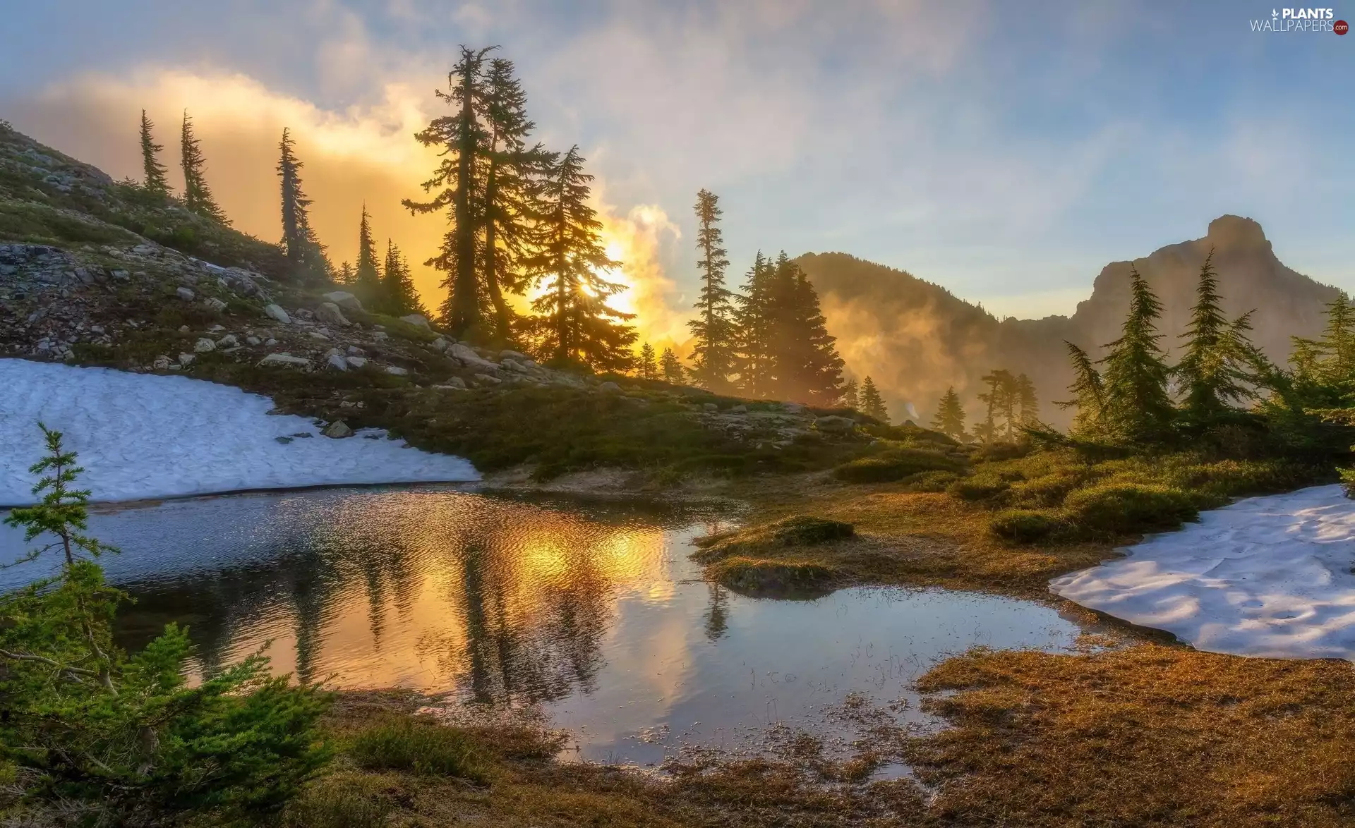 viewes, lake, clouds, trees, Mountains, Sunrise, Fog