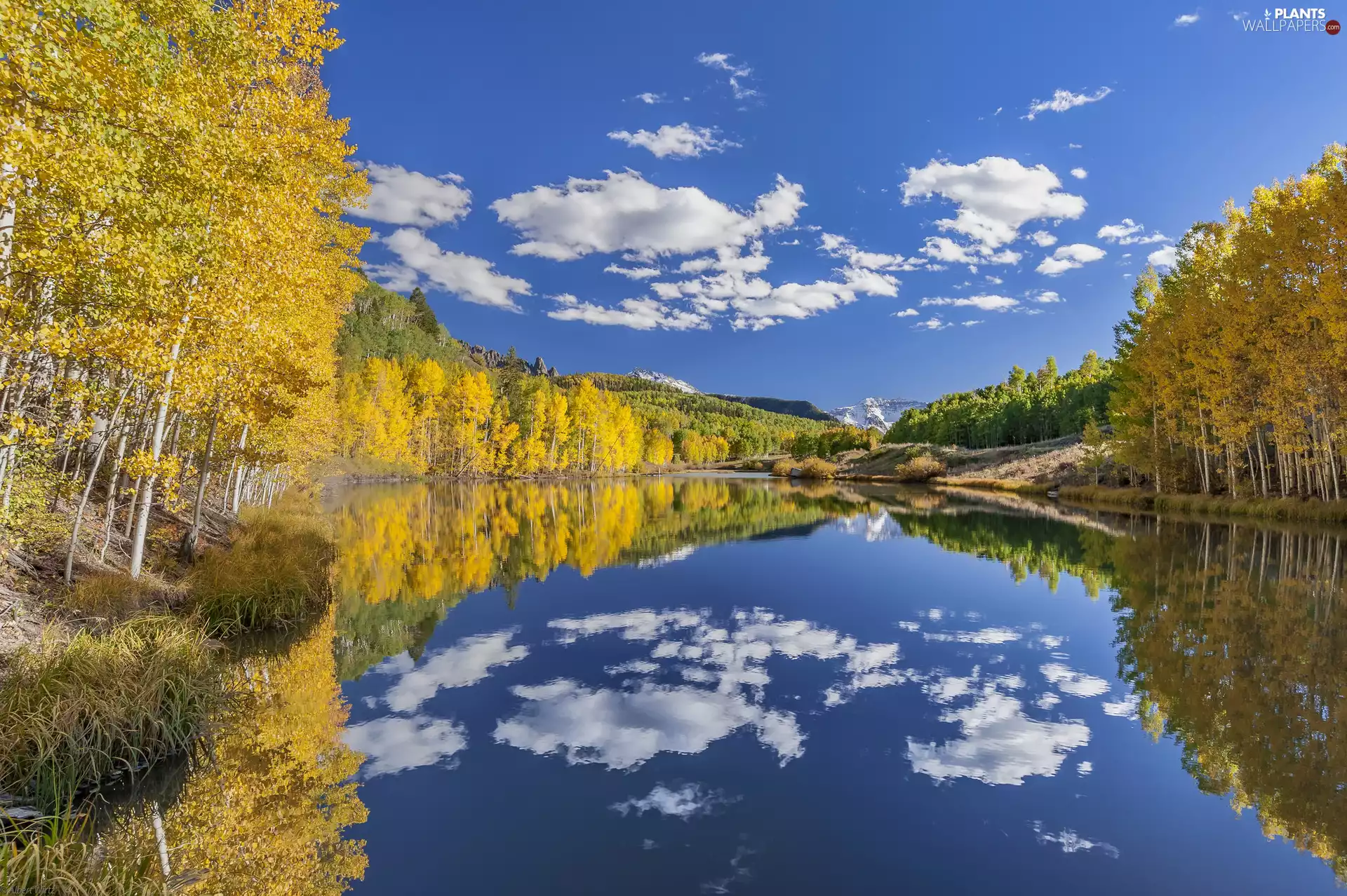 viewes, lake, clouds, trees, Mountains, autumn, reflection