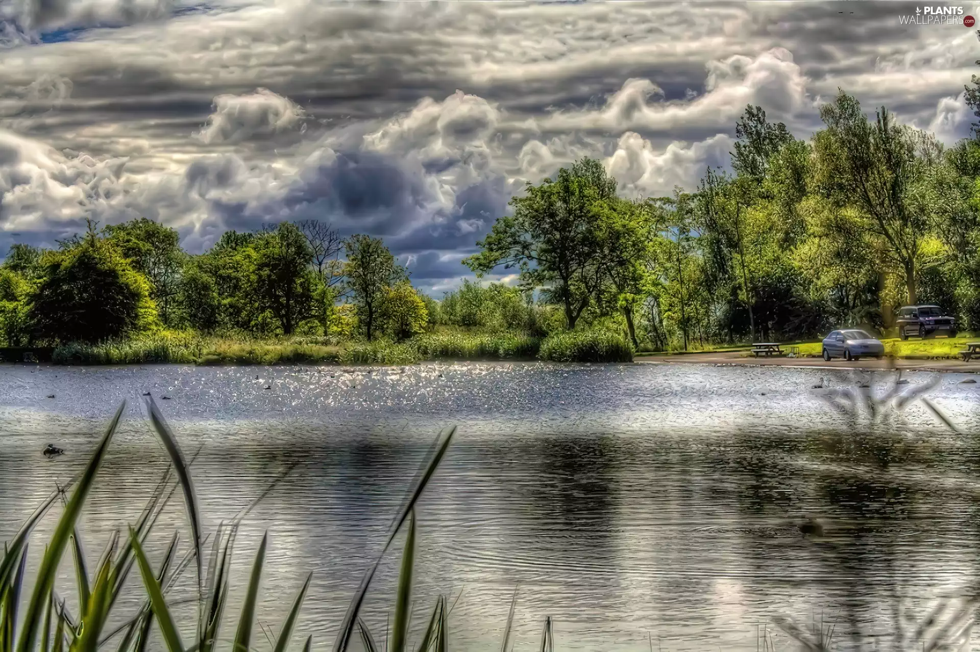 clouds, viewes, lake, trees