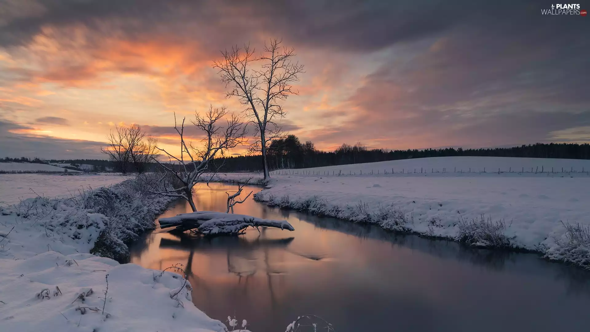 viewes, River, clouds, trees, winter, Sky, Sunrise