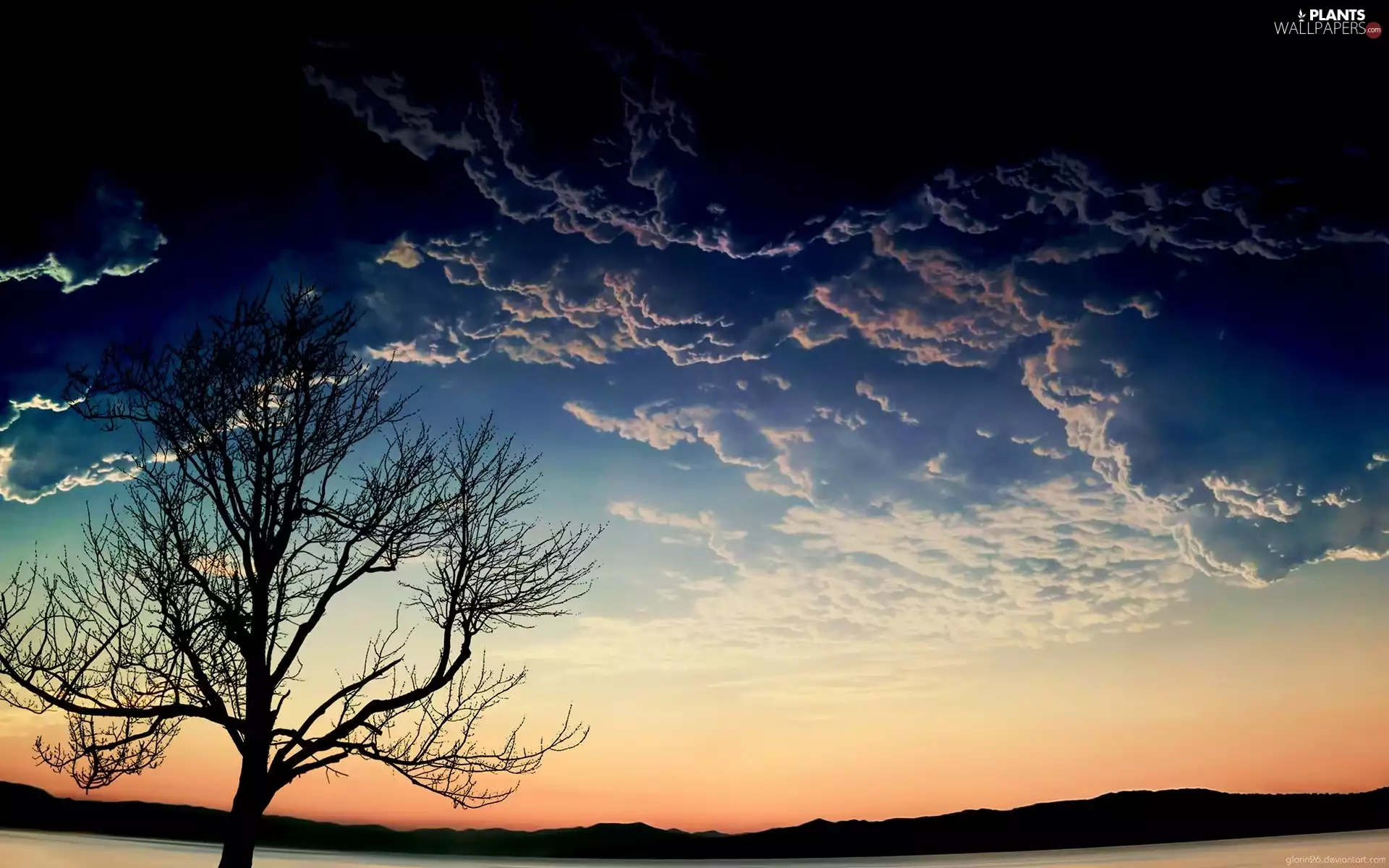 trees, storm, clouds