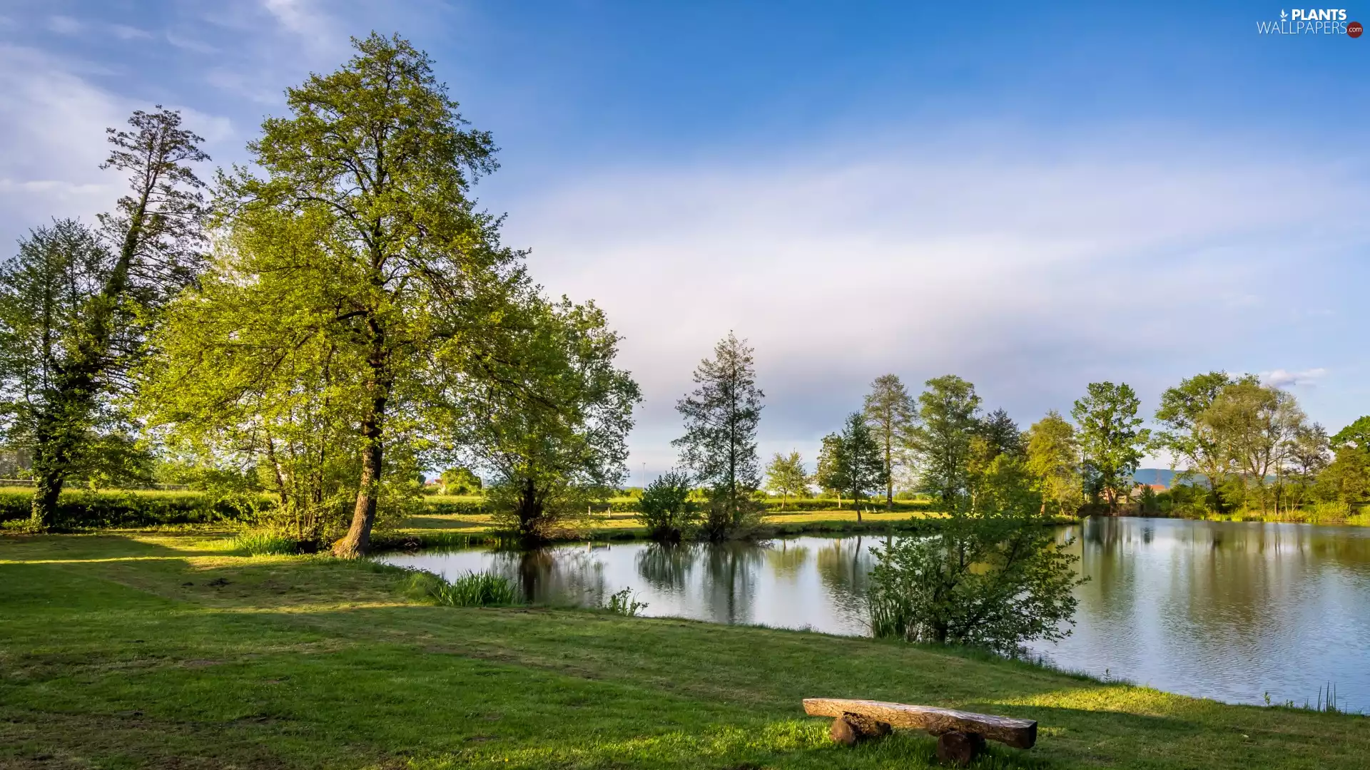 trees, Zagreb County, green, Bobovica Lake, Coartia, viewes, grass