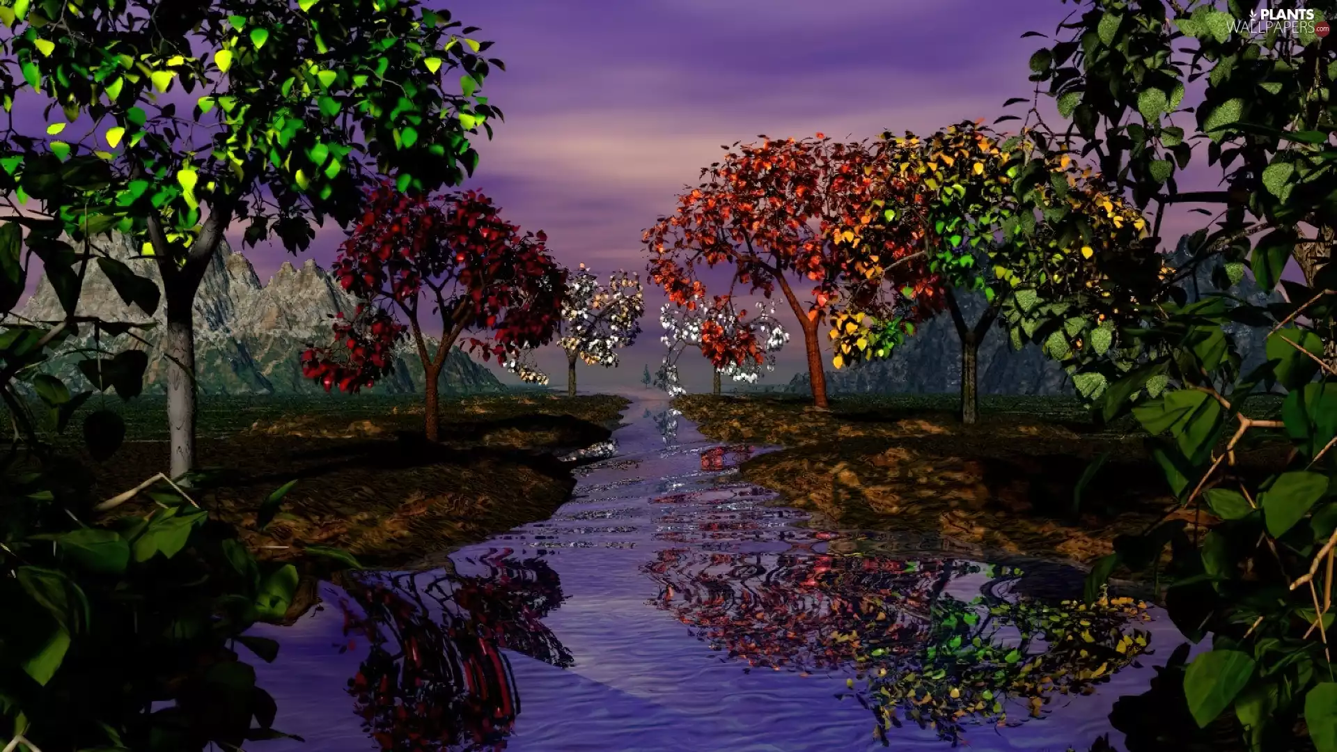 color, viewes, River, trees