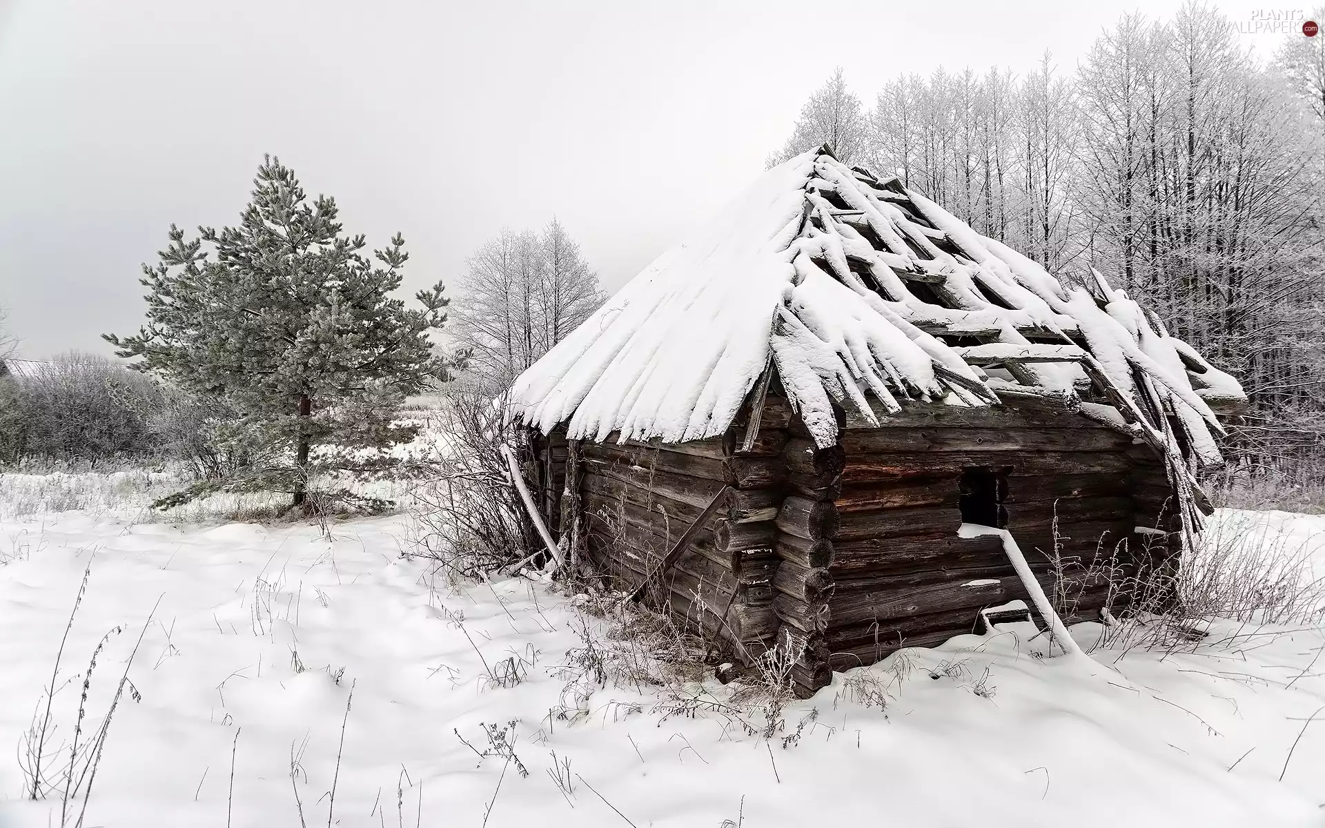 viewes, snow, cote, trees, winter, Wooden, Home