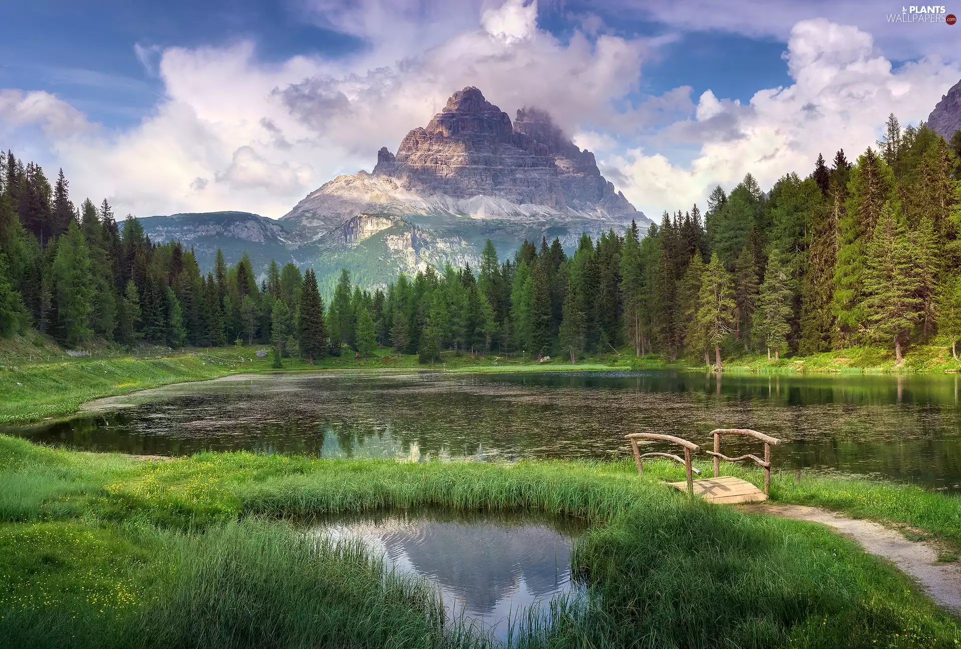 Dolomites Mountains, Antorno Lake, Massif Tre Cime di Lavaredo, forest, Province of Belluno, Italy, viewes, bridges, trees
