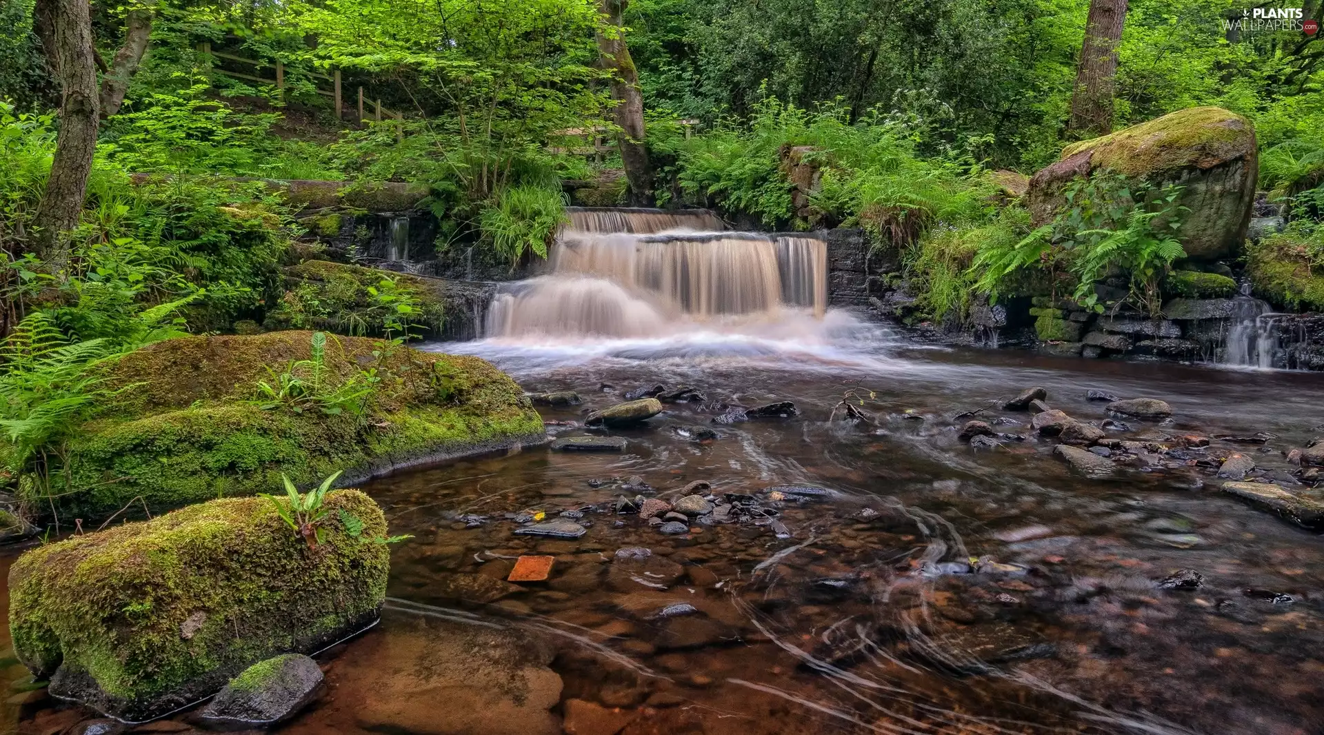 Sheffield, Peak District National Park, Trees Peak District National Park, cascade, Stones, South Yorkshire County, England, River Rivelin