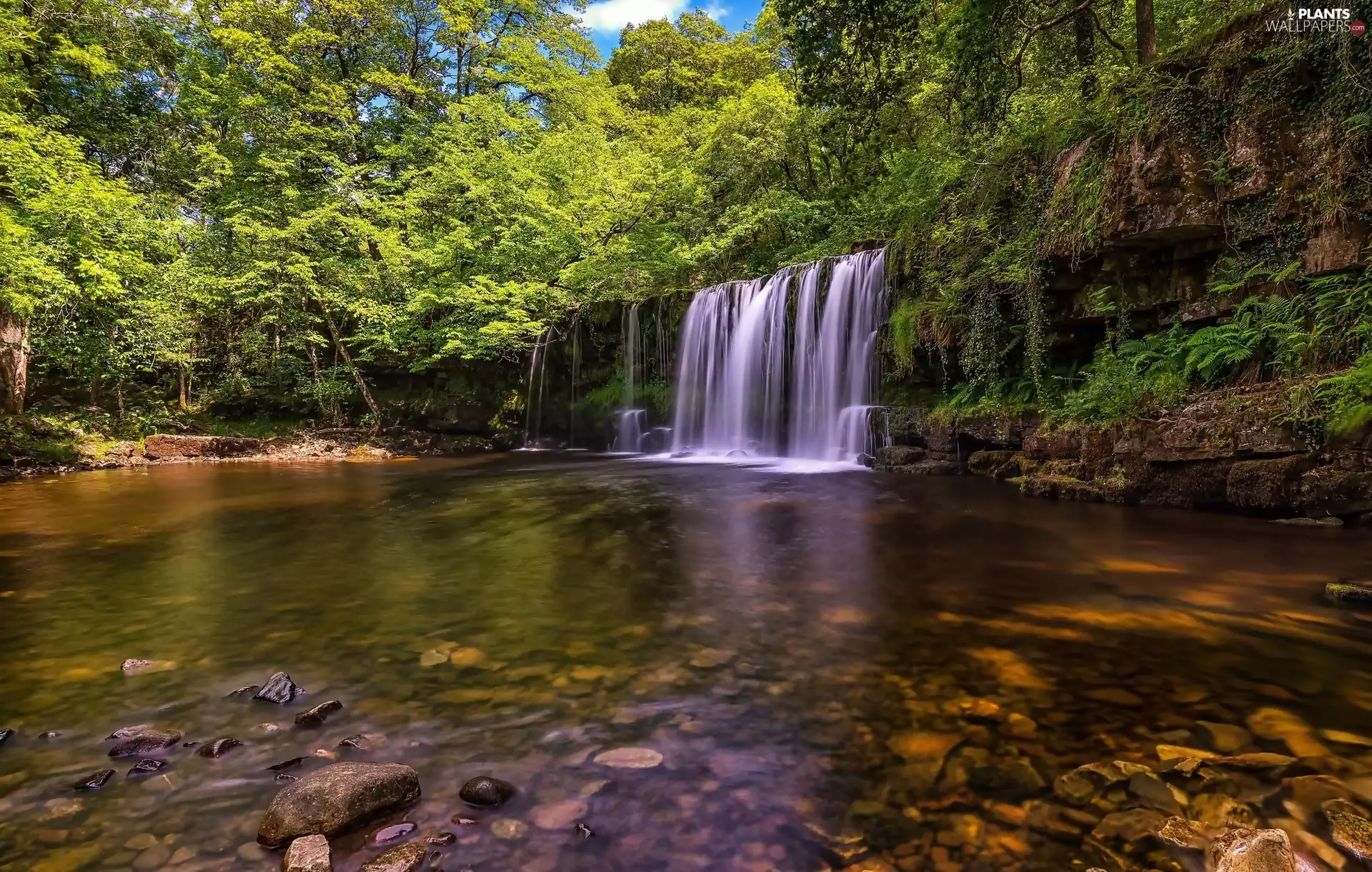 River Afon Hepste, Brecon Beacons National Park, trees, Waterfall Sgwd Yr Eira, wales, rocks, viewes