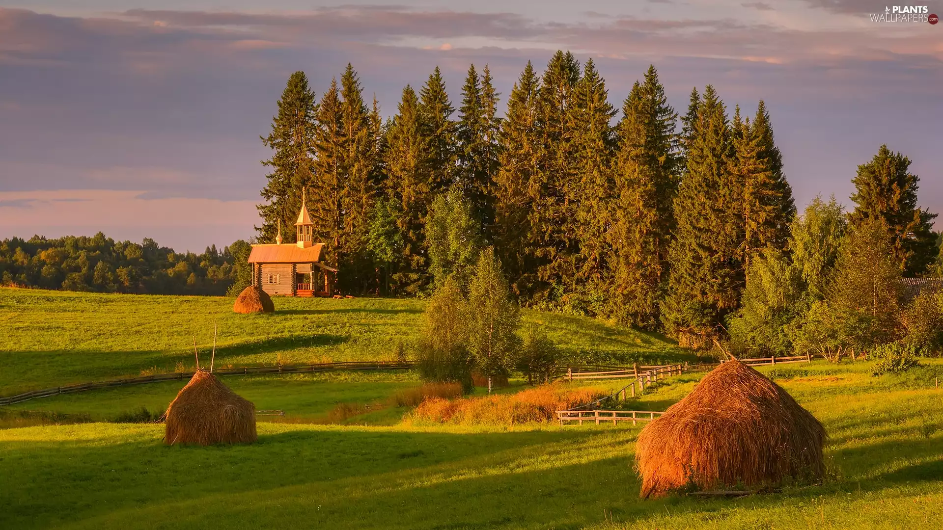 viewes, Meadow, fence, trees, Cerkiew, forest, sheaves