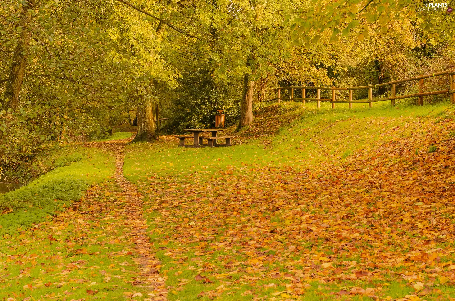 trees, autumn, viewes, fallen, Table, Park, fence, bench, Leaf
