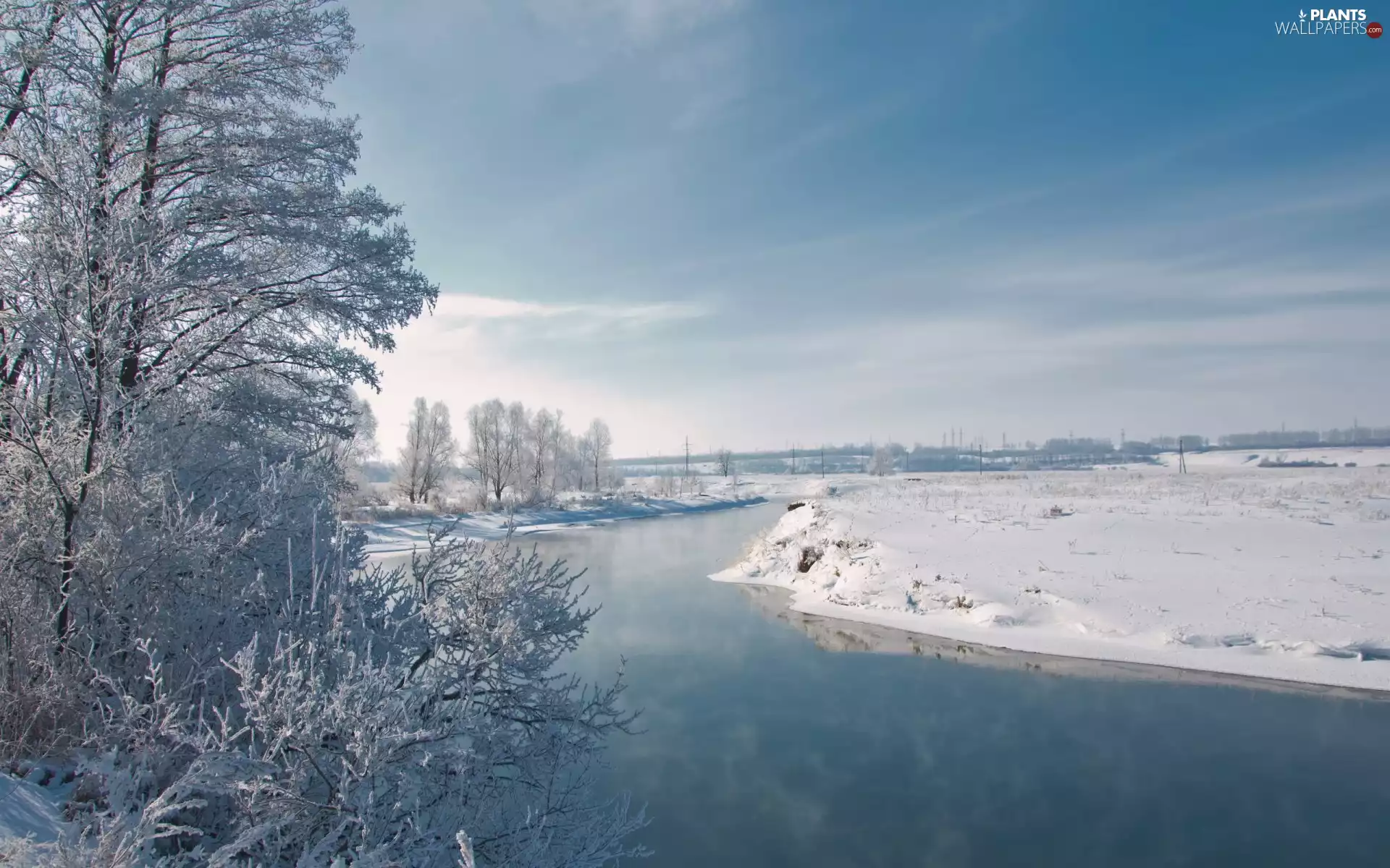 viewes, Snowy, field, trees, winter, River, Sky