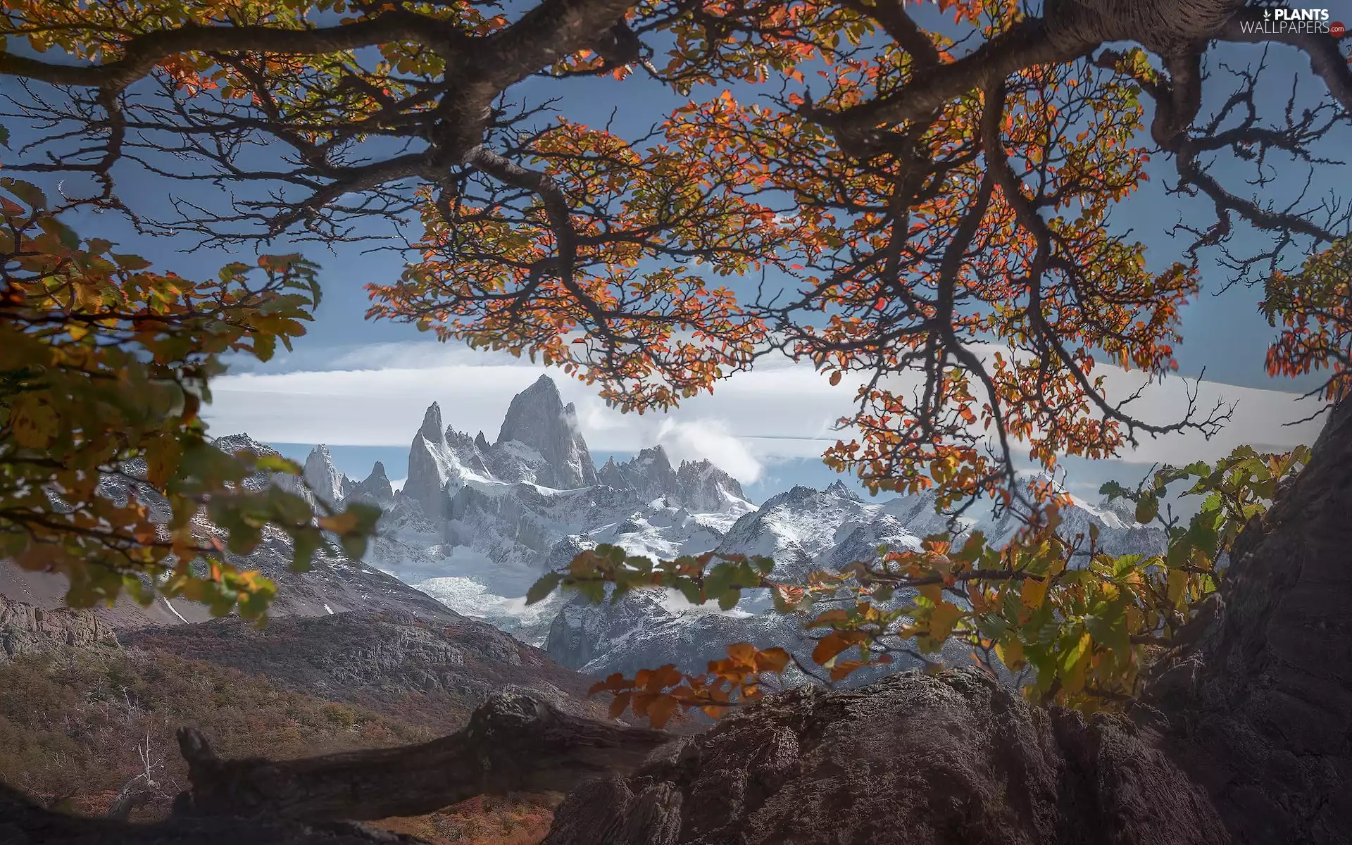 Andes Mountains, autumn, mountains, Fitz Roy, Patagonia, Argentina, trees, viewes, Los Glaciares National Park