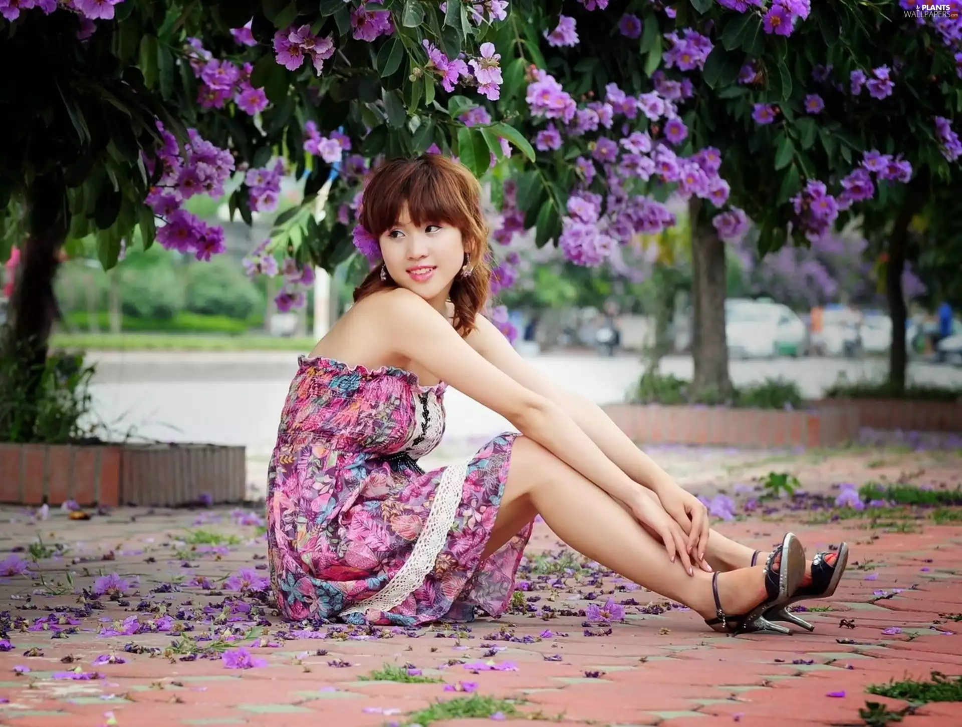 flourishing, purple, flakes, trees