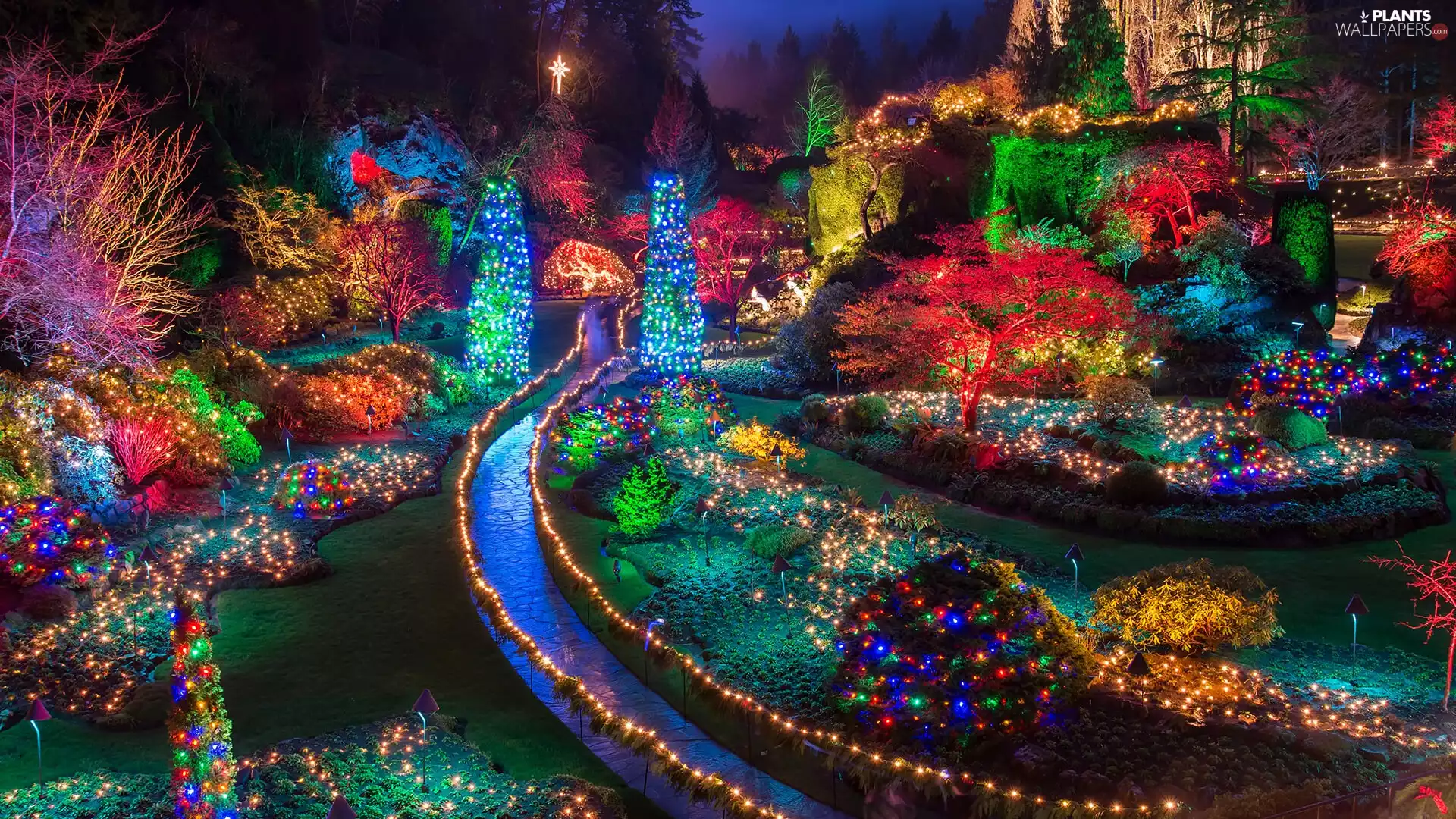 Butchart Gardens, Alleys, Brentwood Bay, viewes, trees, British Columbia, Flower-beds, Garden, Canada, rebates, color, illuminated