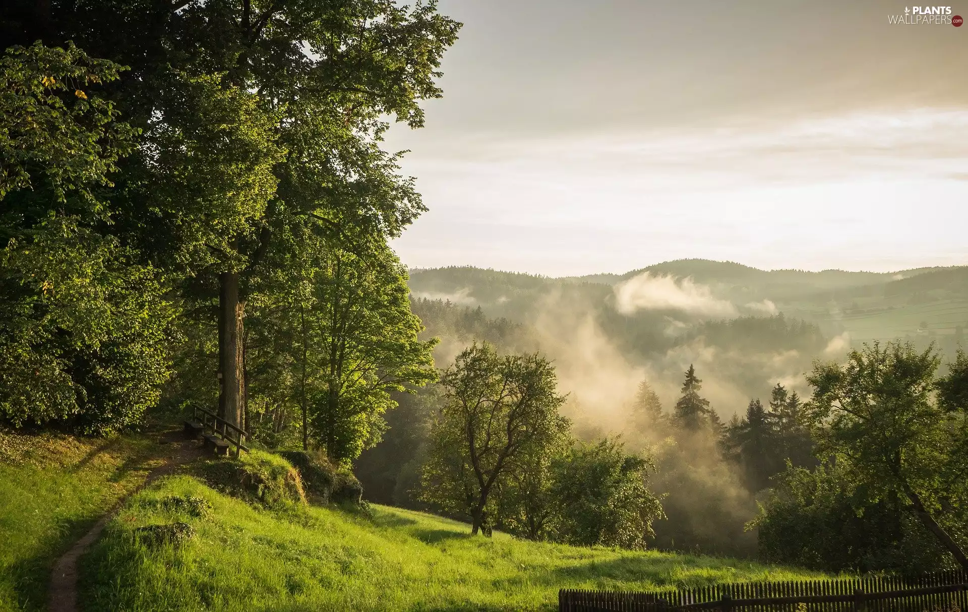 viewes, bench, Fog, trees, Path, Hill, Mountains