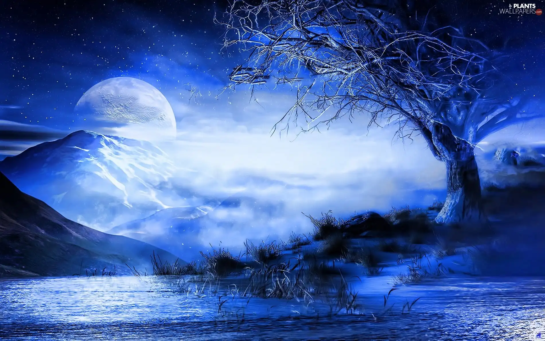 Mountains, moon, trees, Fog, lake, star