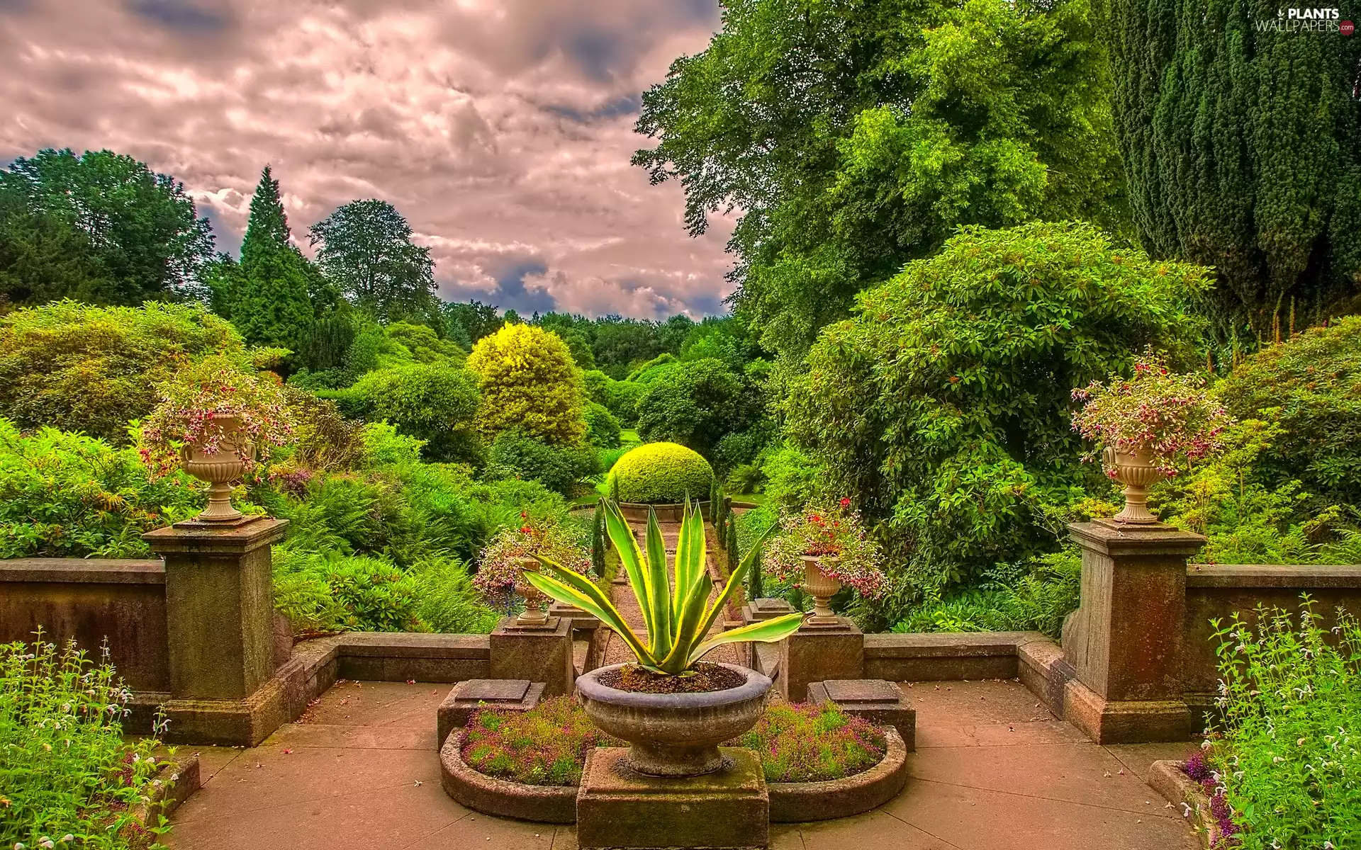 fountain, viewes, clouds, trees