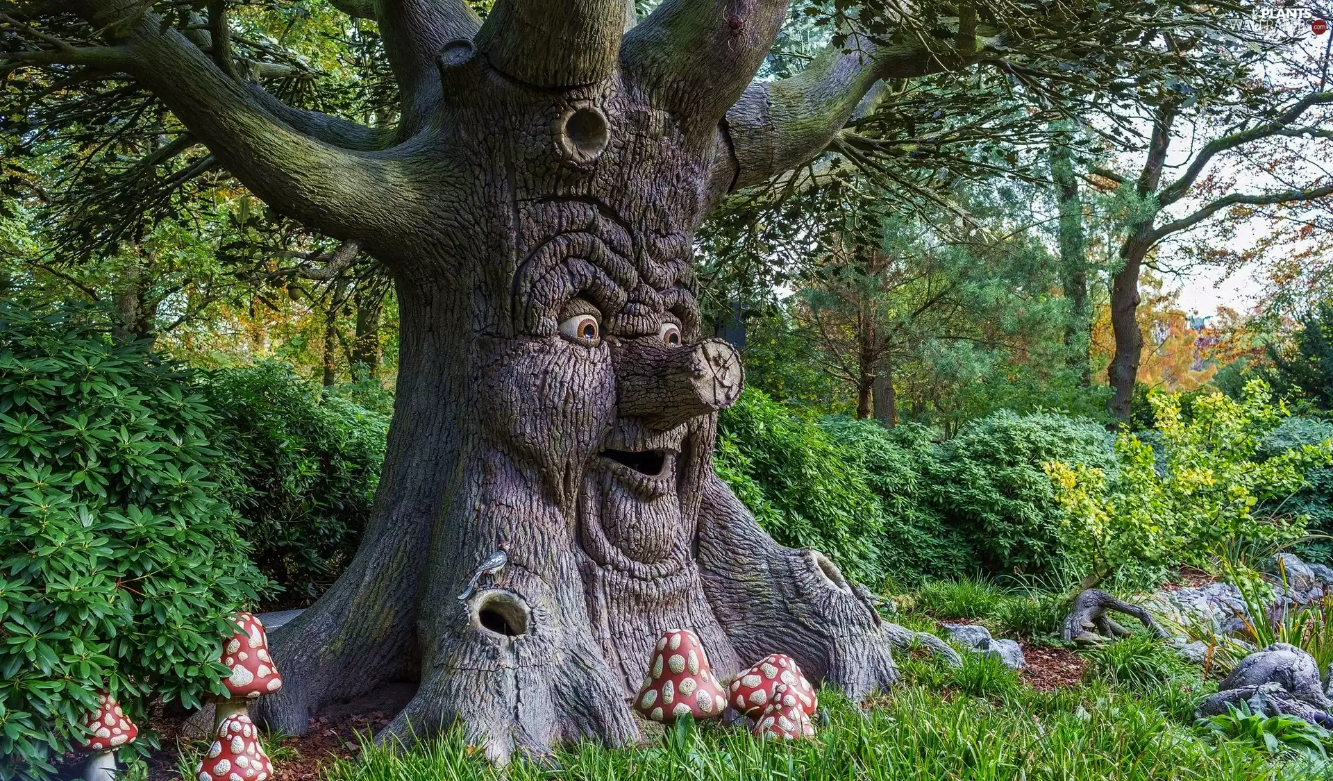 Funny, face, Plants, trees