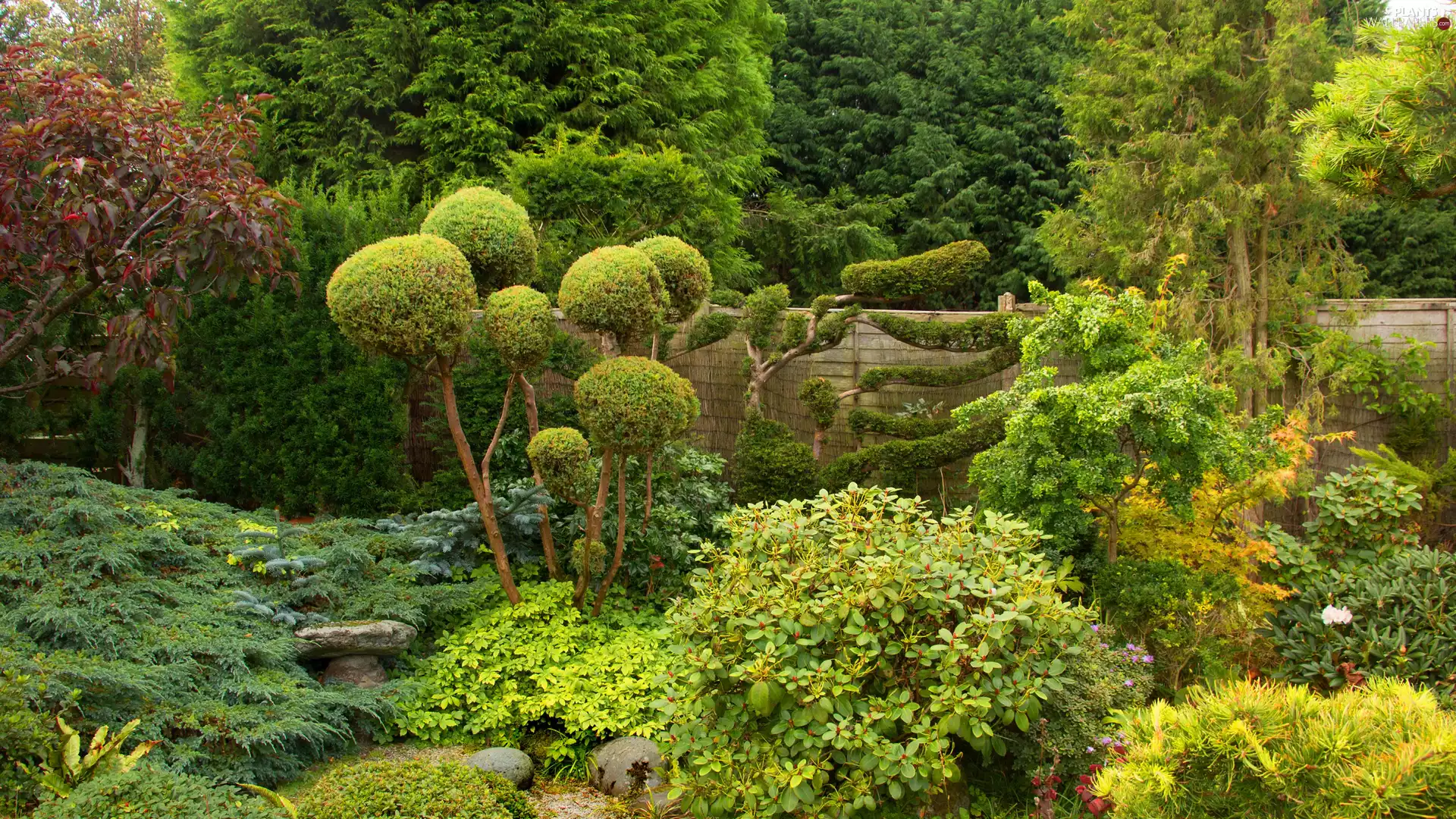 green ones, Bush, trees, viewes, Garden