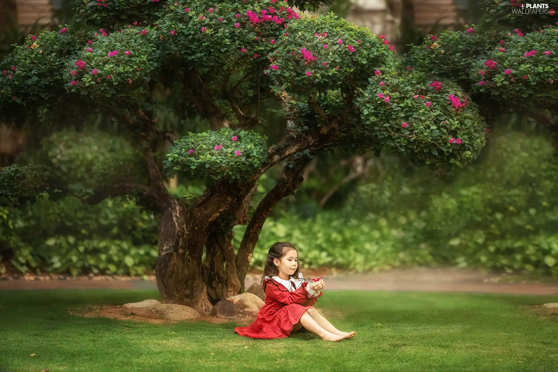 girl, Flowers, grass, trees